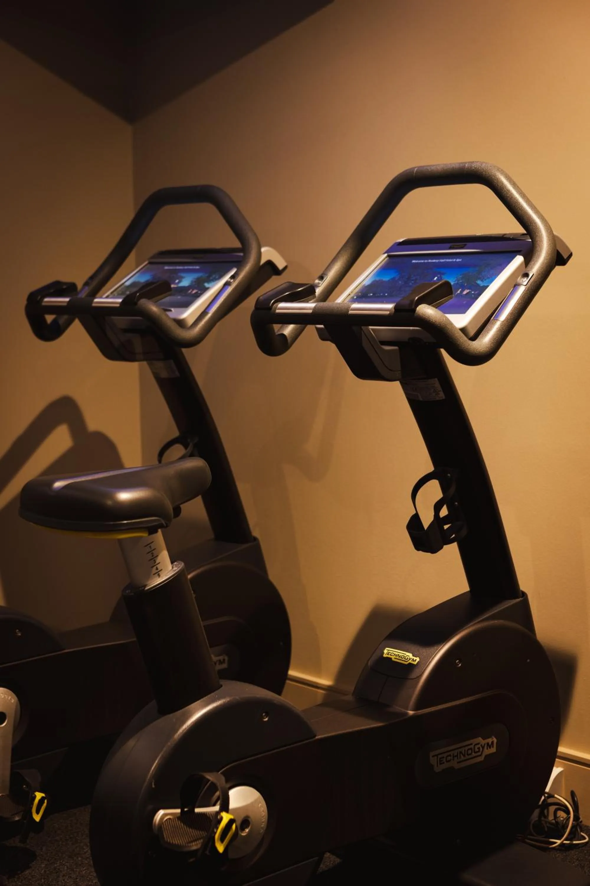 Fitness centre/facilities in Rookery Hall Hotel & Spa