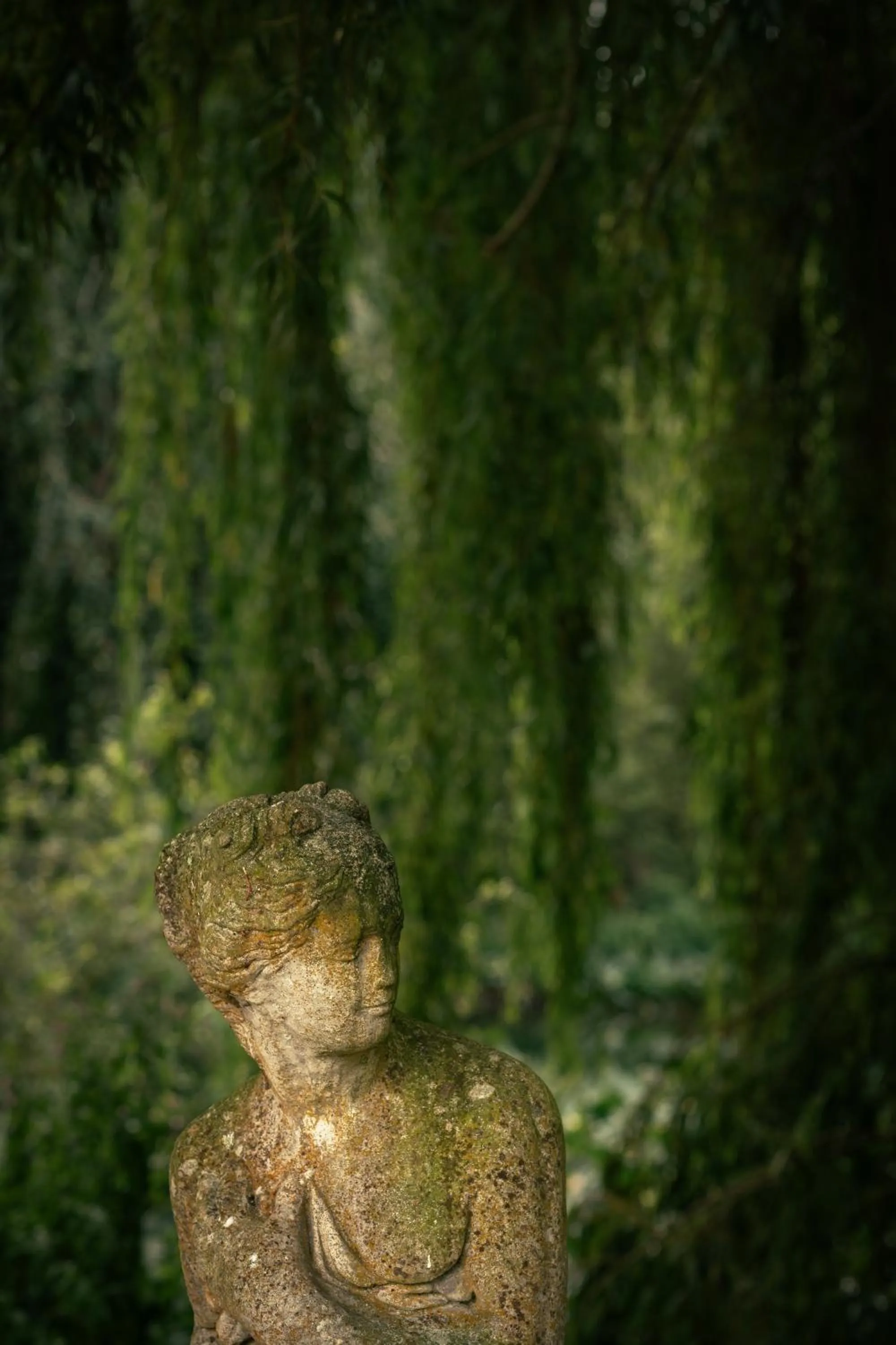 Garden in Rookery Hall Hotel & Spa