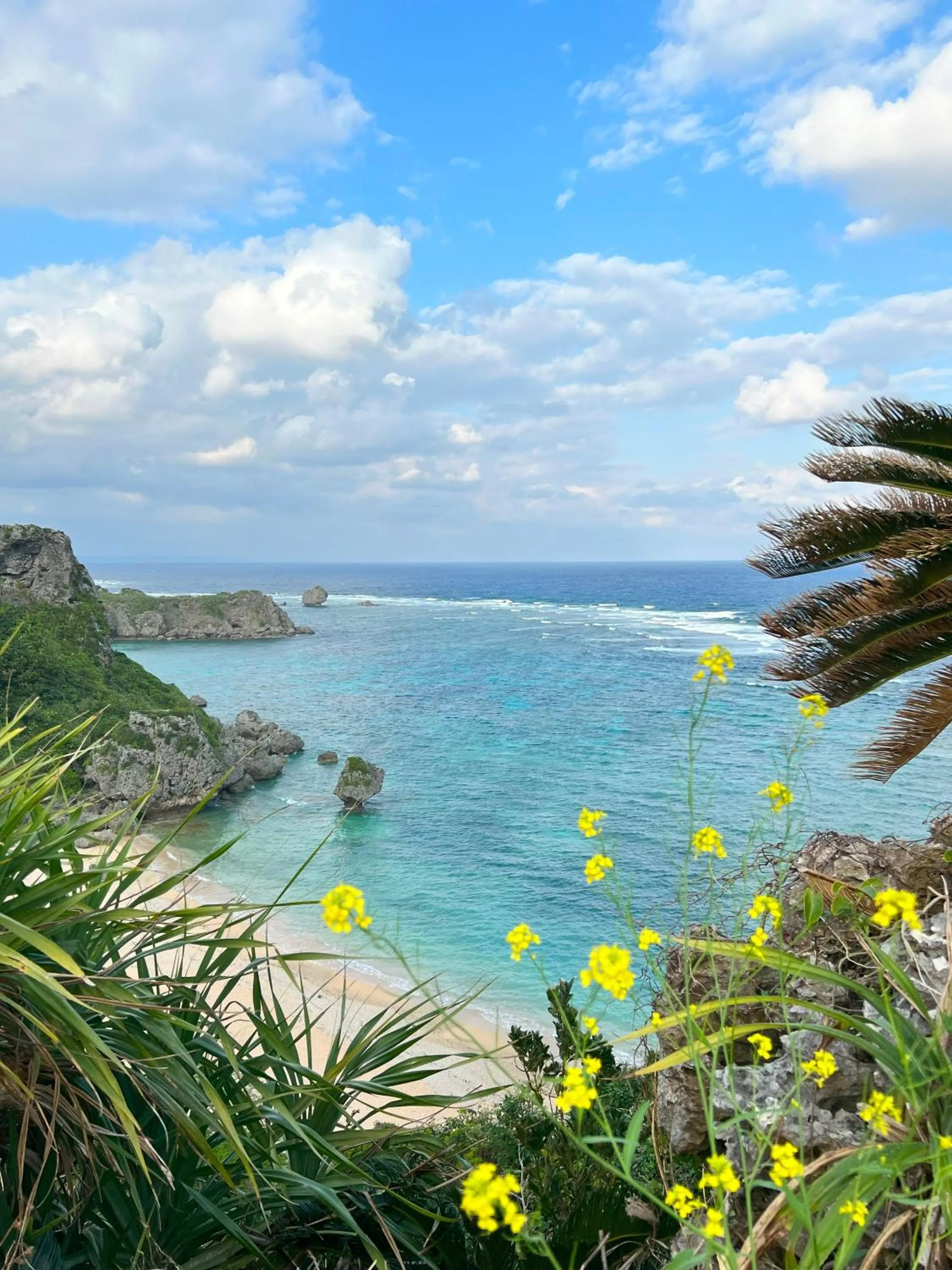 Natural landscape in glampark resort Akuna beach