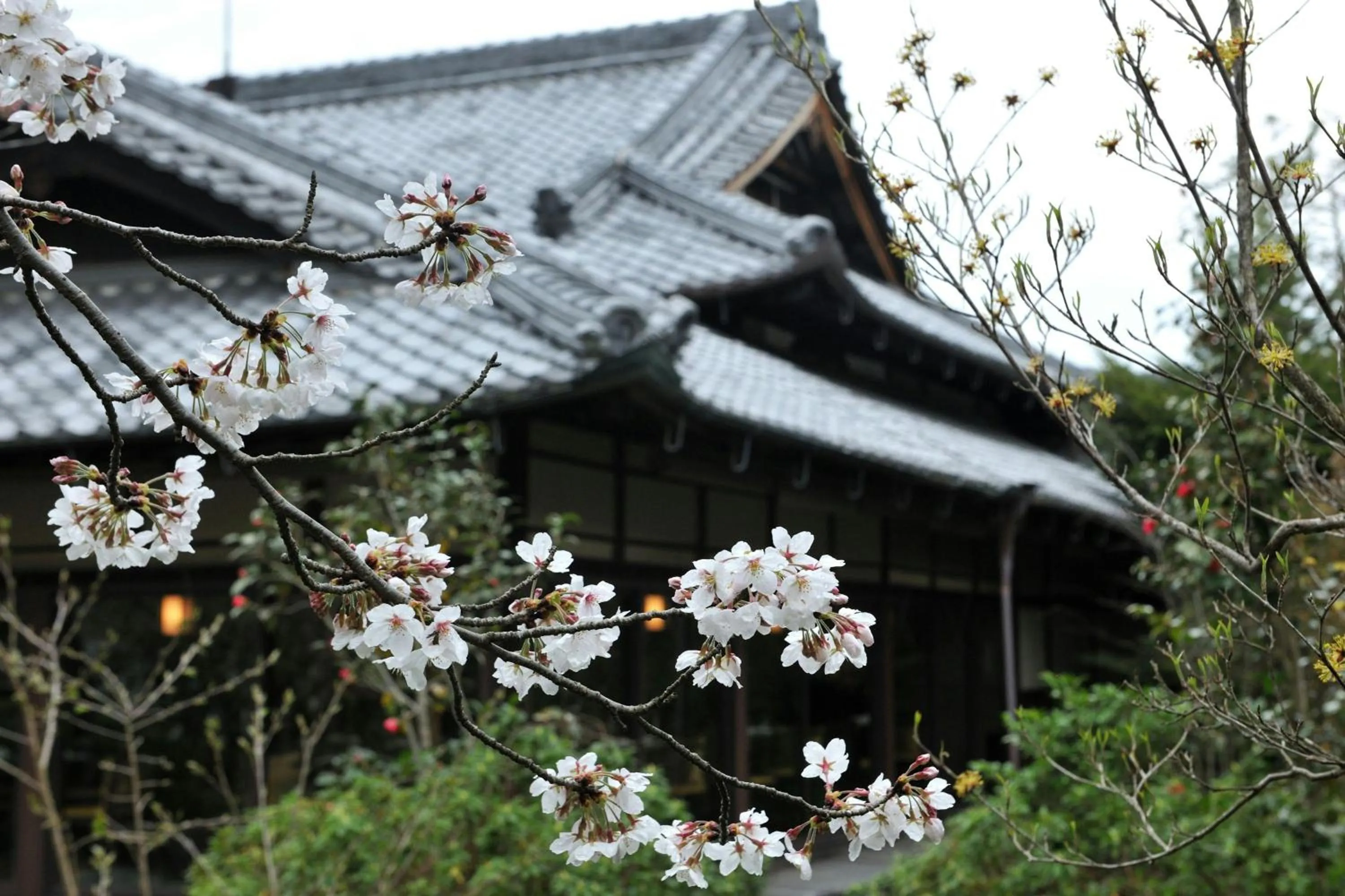 Property building in Shisui, a Luxury Collection Hotel, Nara