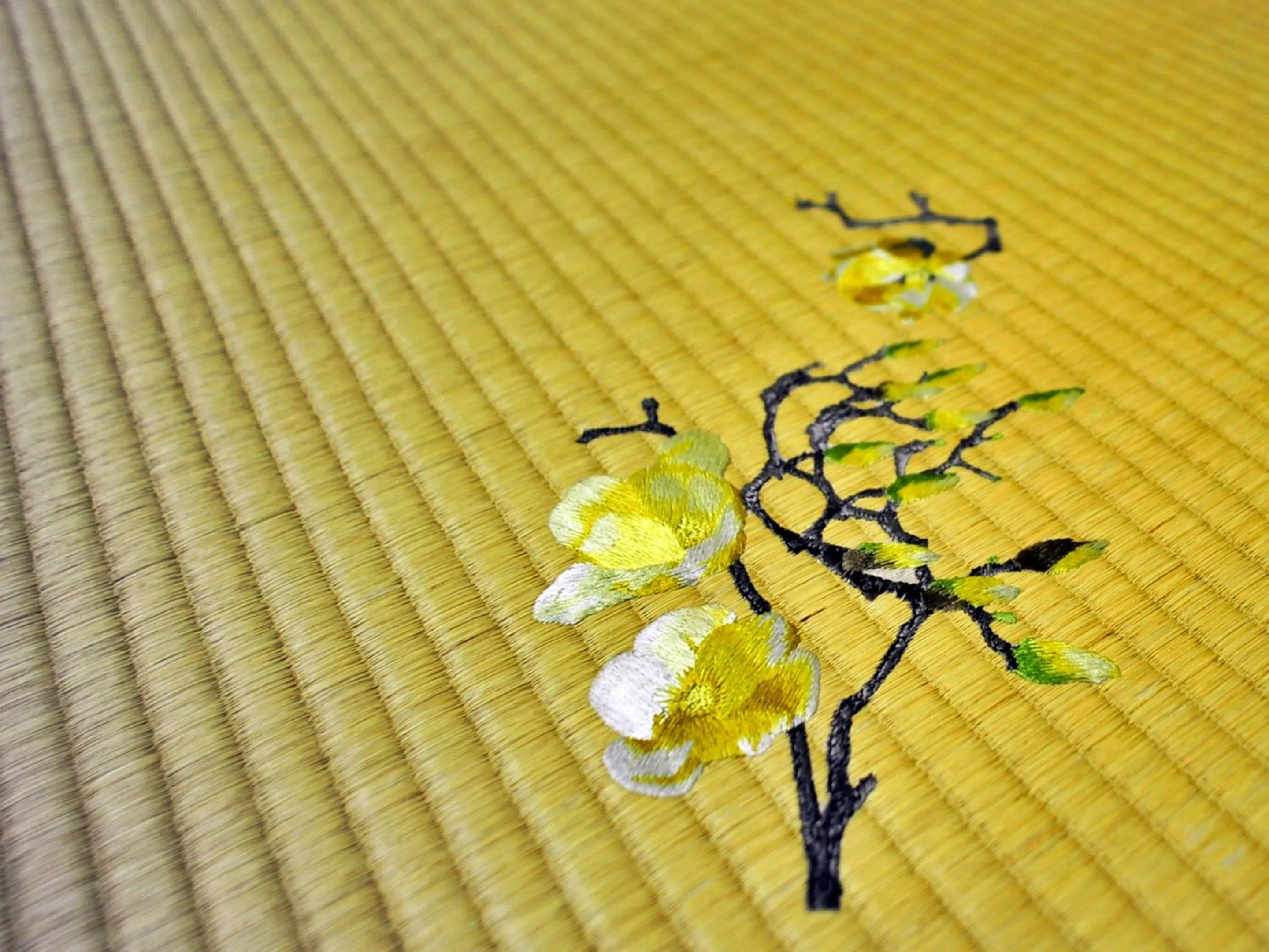 Photo of the whole room in Fudouonsen Sawaya