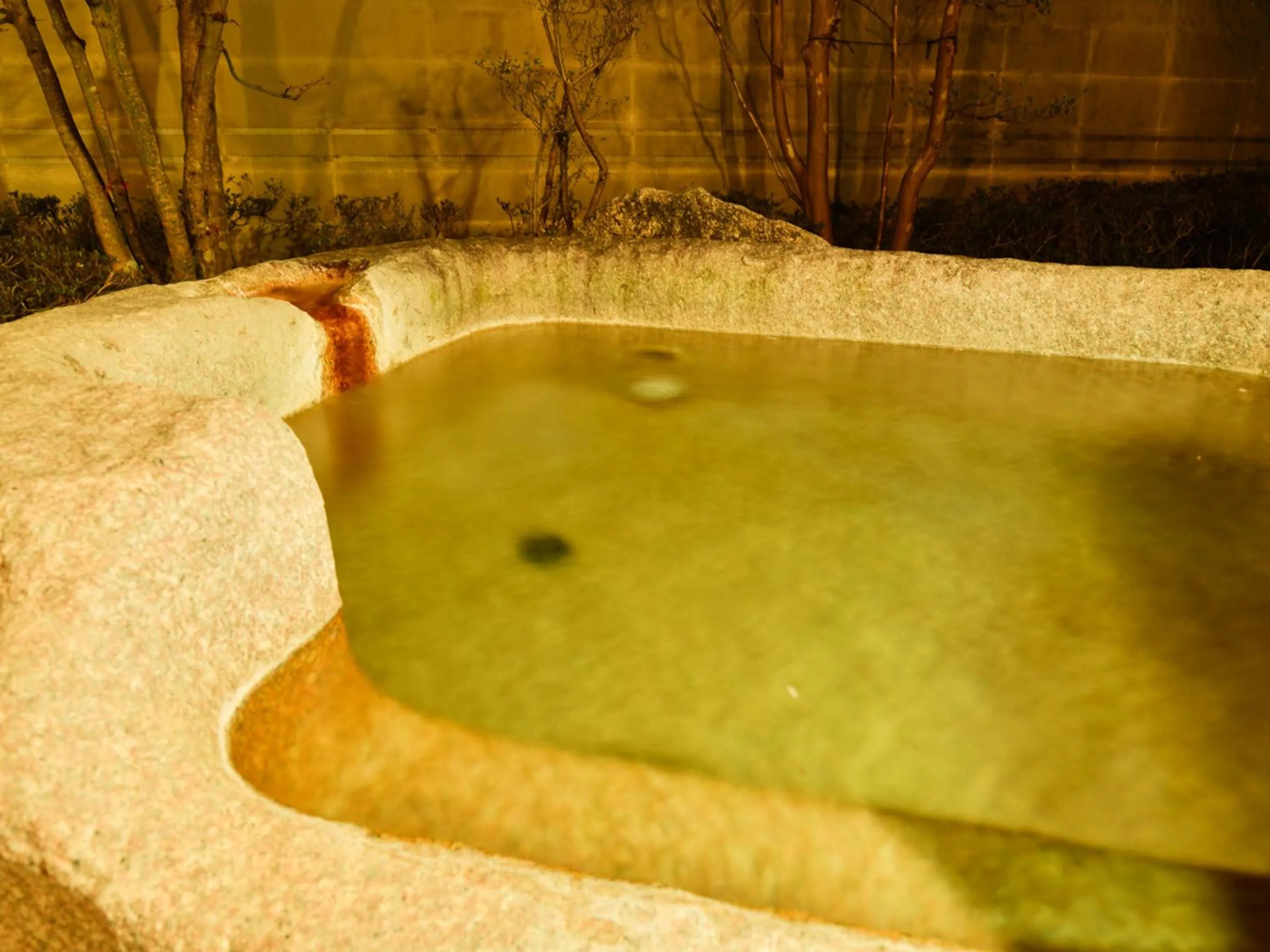 Hot Spring Bath in Fudouonsen Sawaya
