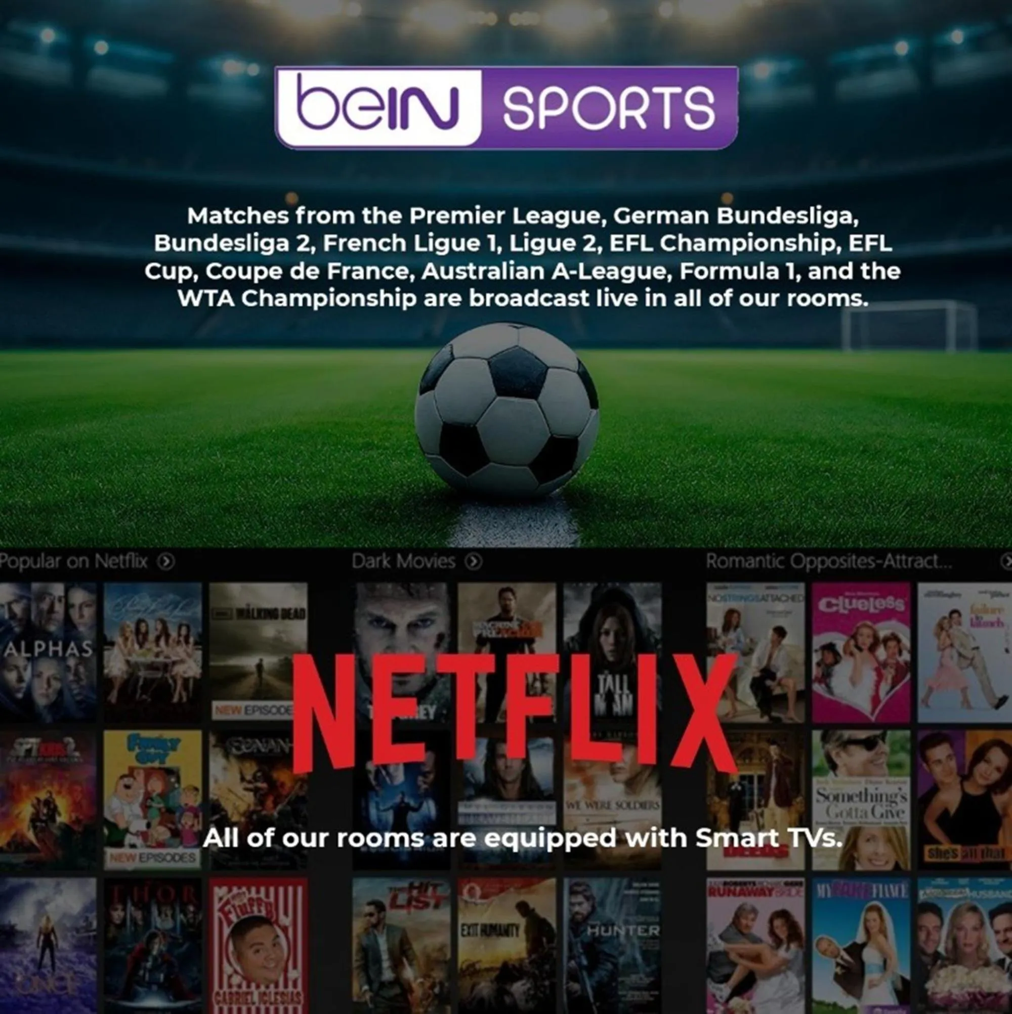 TV and multimedia in THE NEST HOTEL