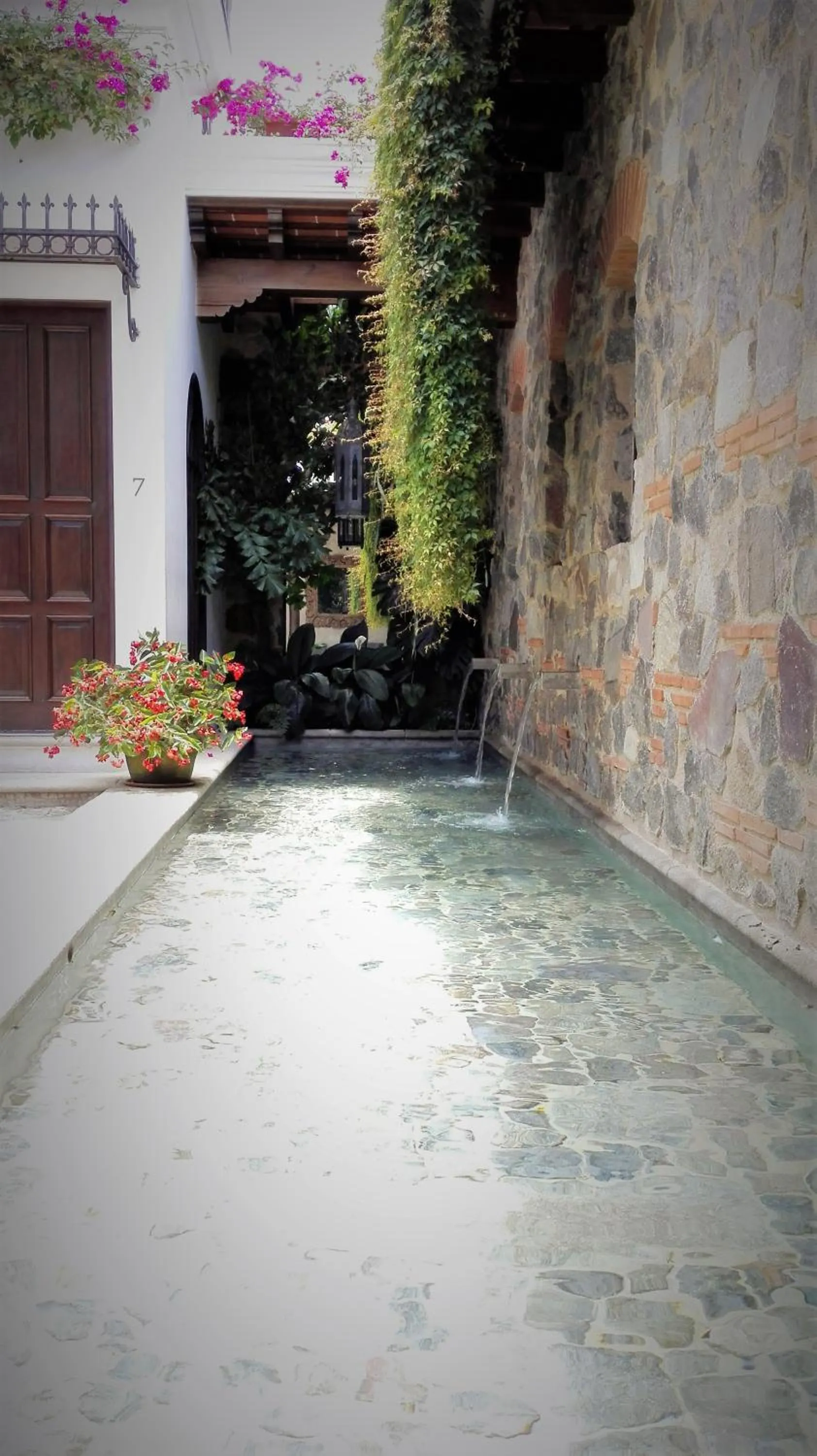 Area and facilities in San Rafael Hotel