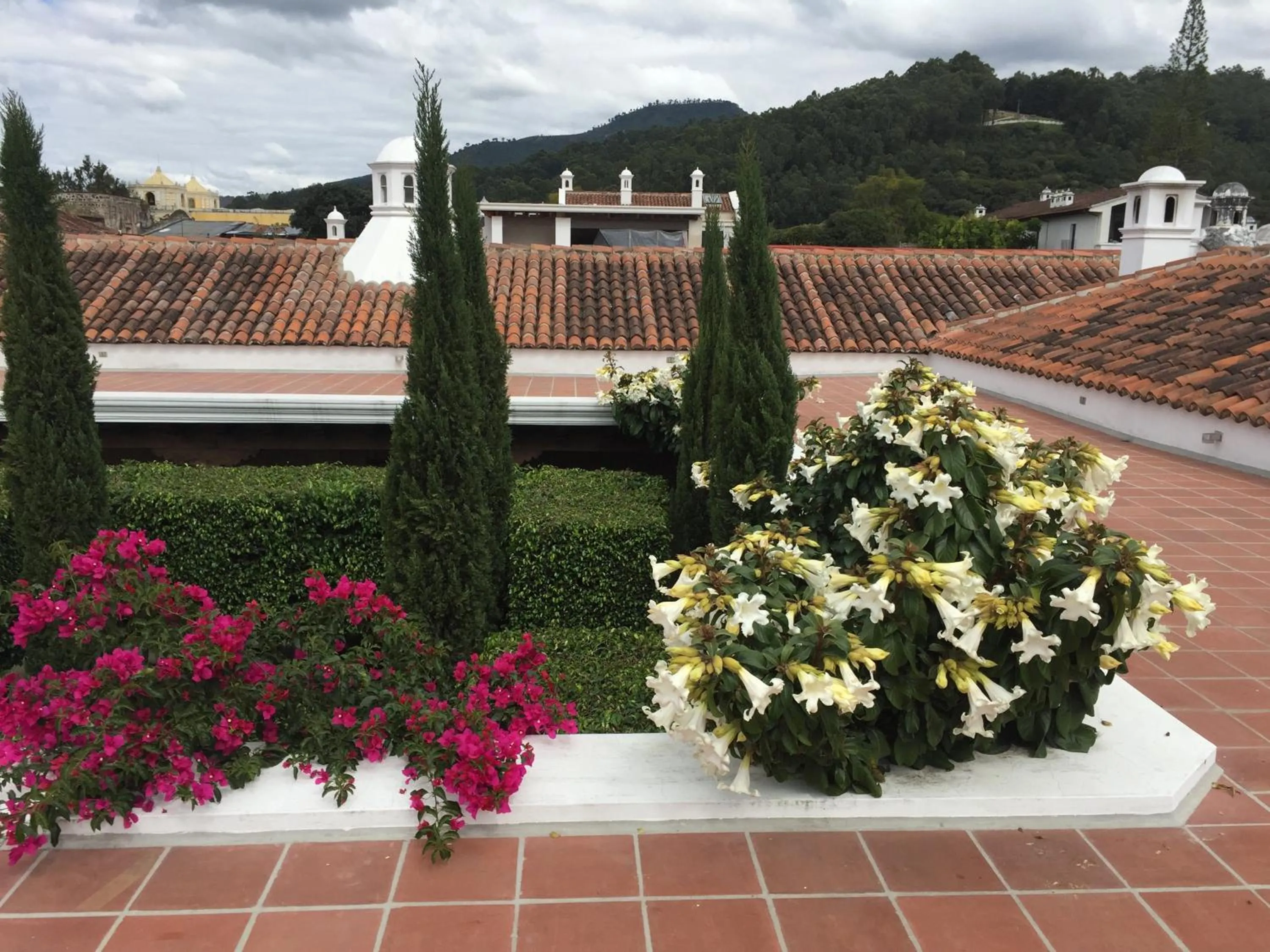 View (from property/room) in San Rafael Hotel