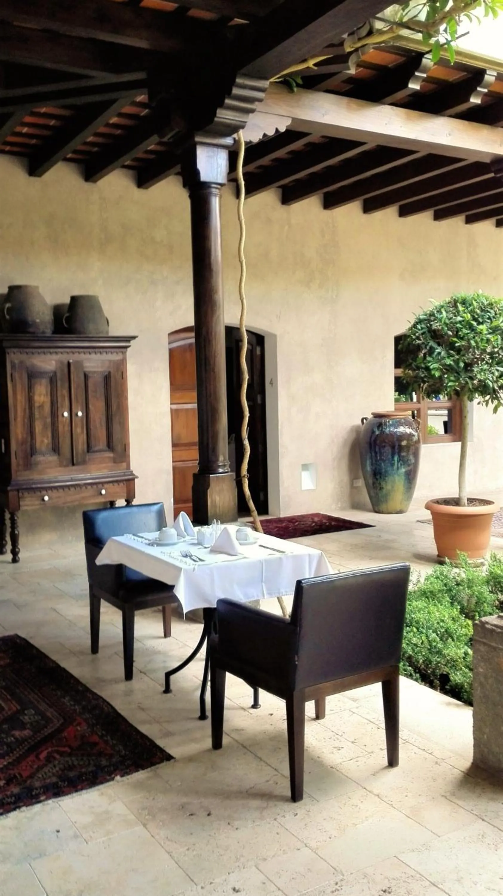 Garden view in San Rafael Hotel