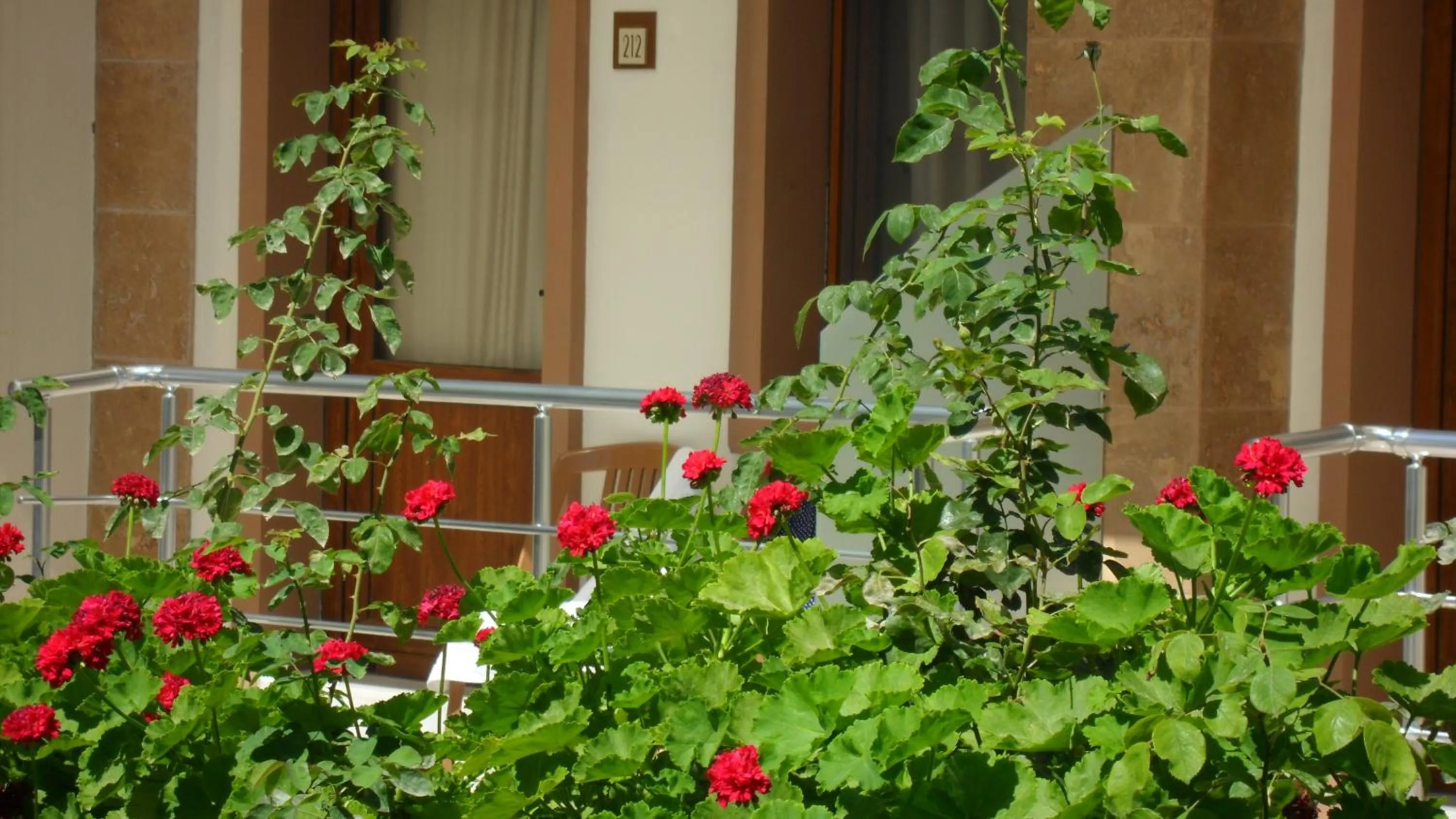 Garden in Ozukara Apart 1