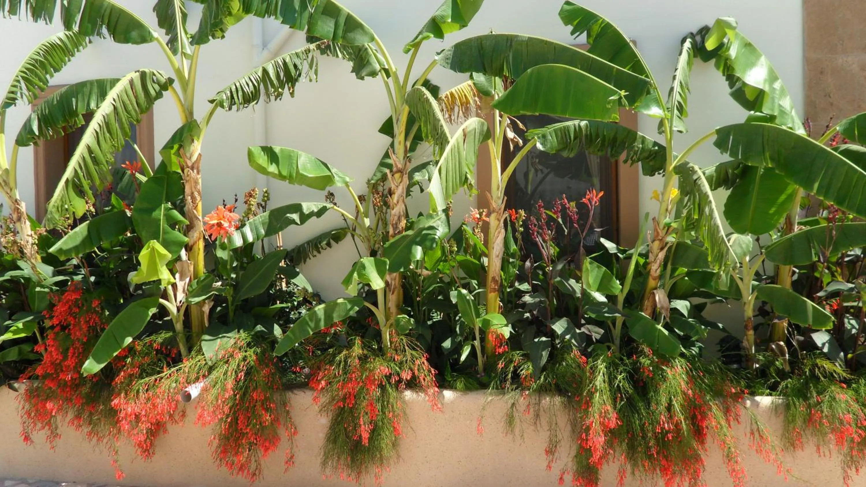 Garden in Ozukara Apart 1