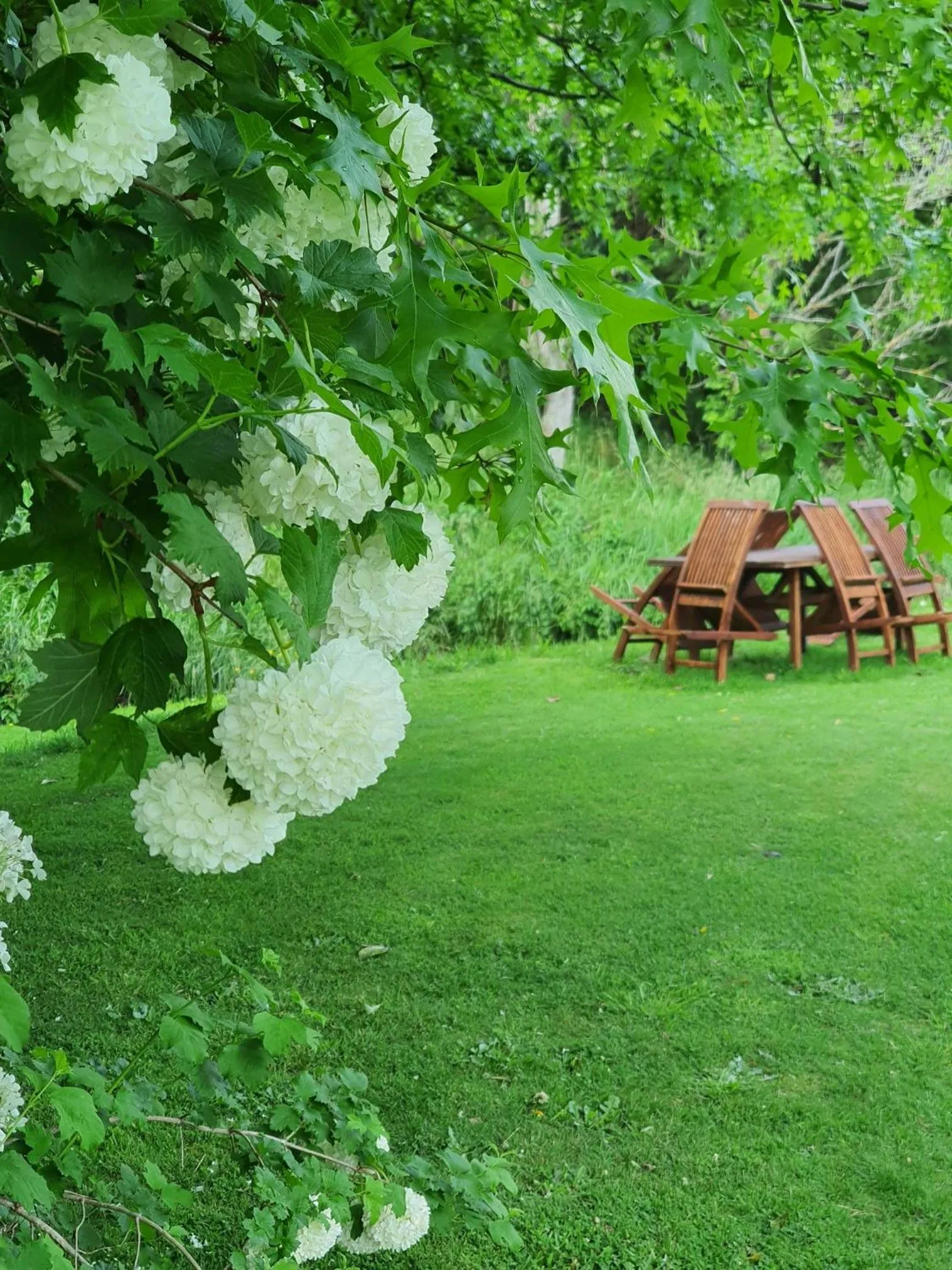 Garden in Ruapehu Country Lodge