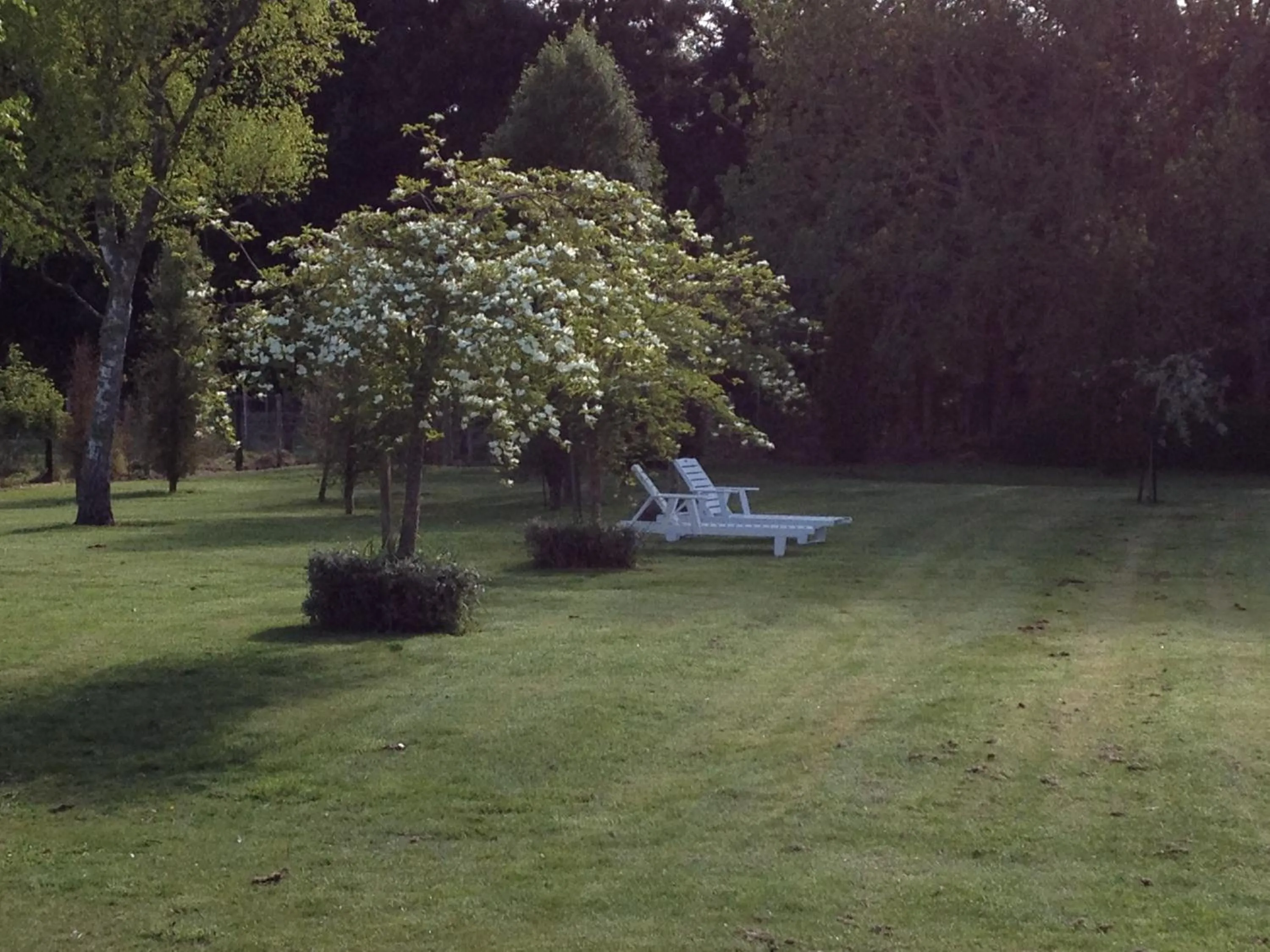 Garden in Ruapehu Country Lodge