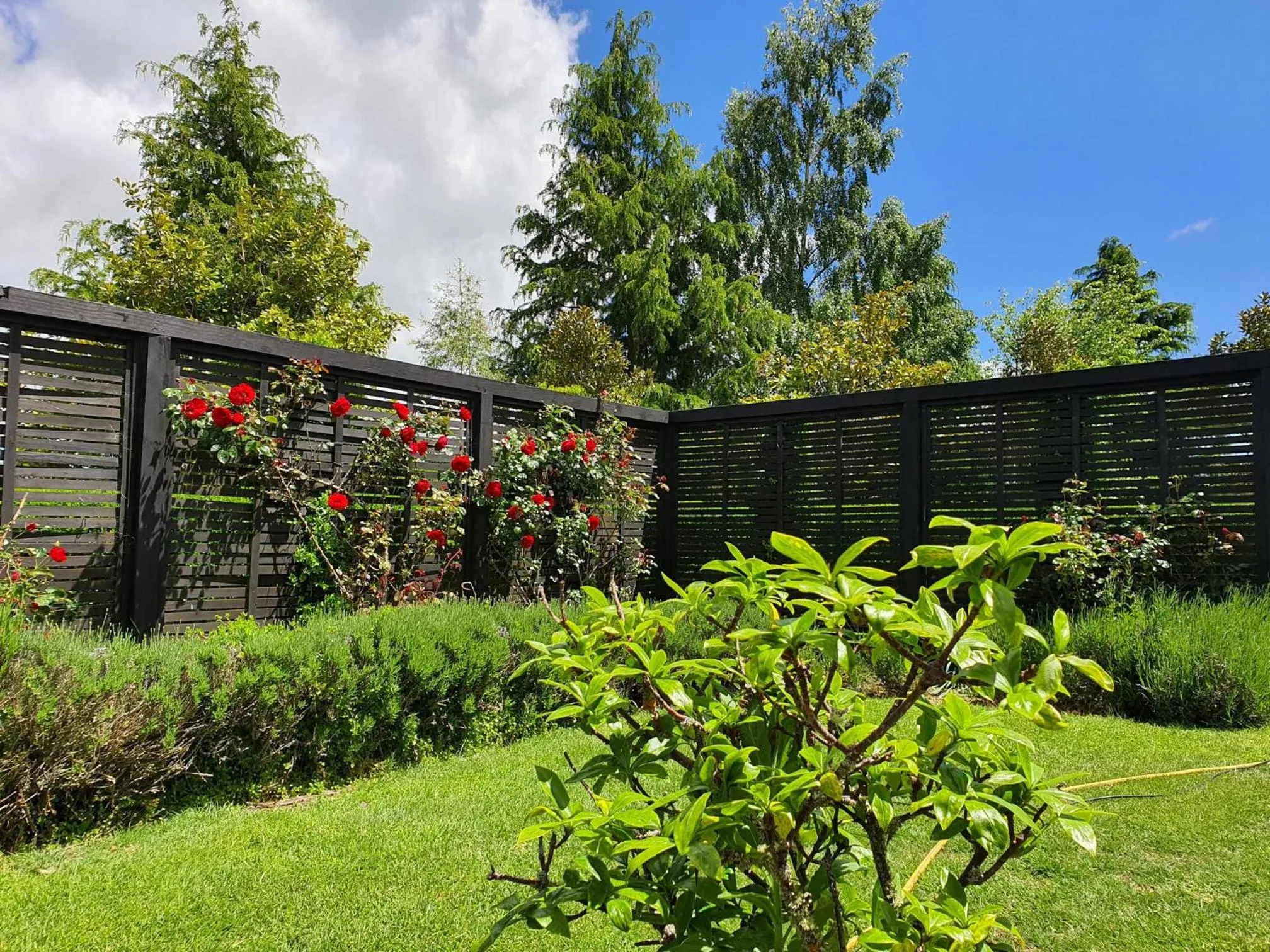 Garden in Ruapehu Country Lodge
