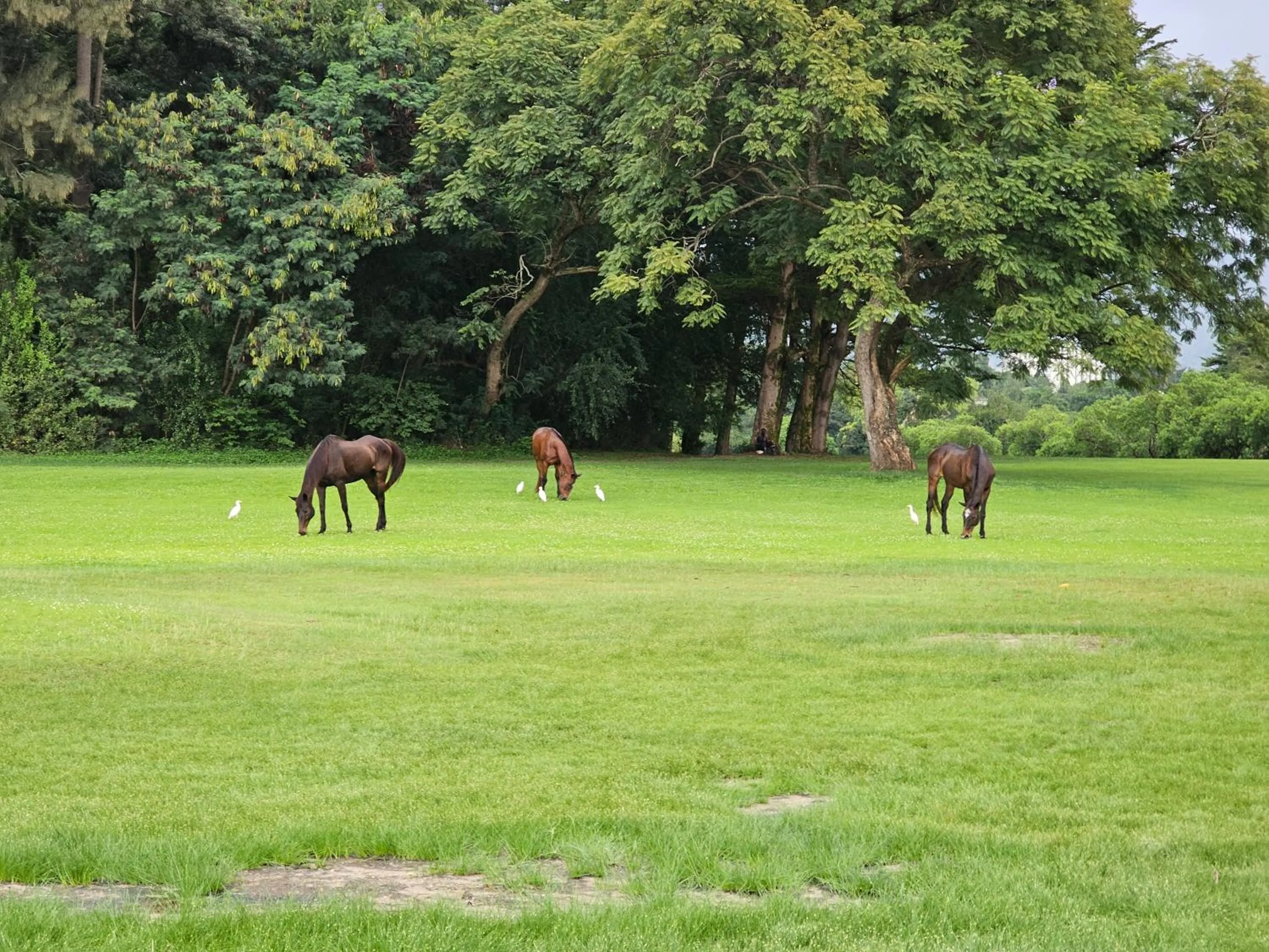 Golfcourse in Burundi Palace Boutique Hotel