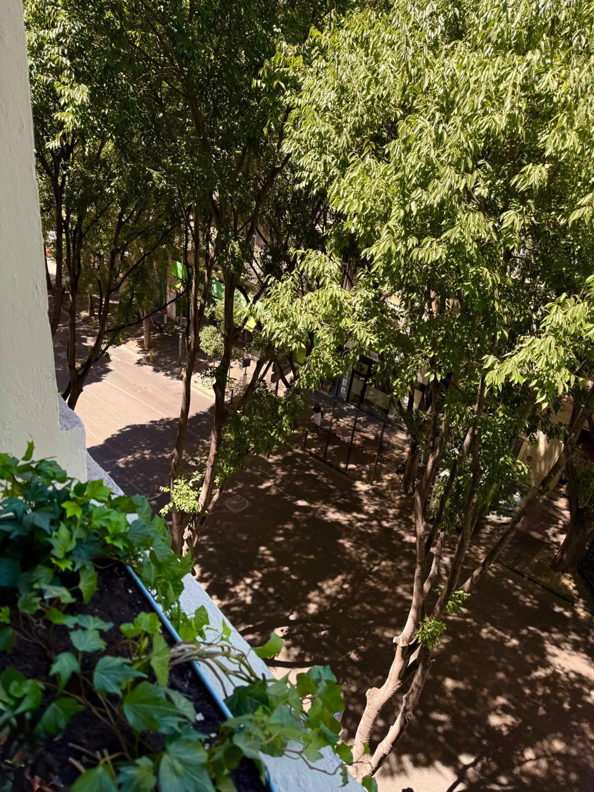 Street view in Boutique Hôtel Provencia