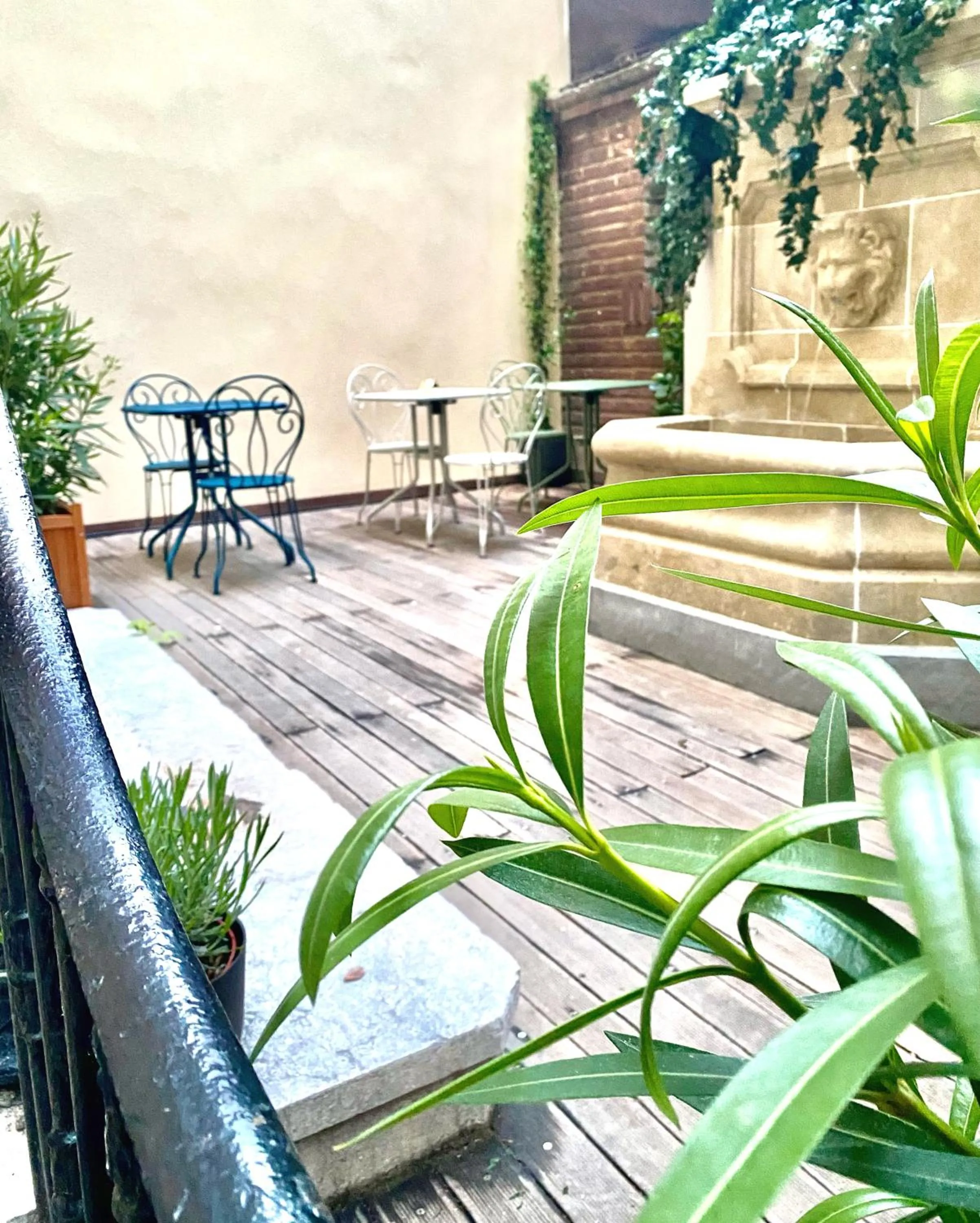 Patio in Boutique Hôtel Provencia