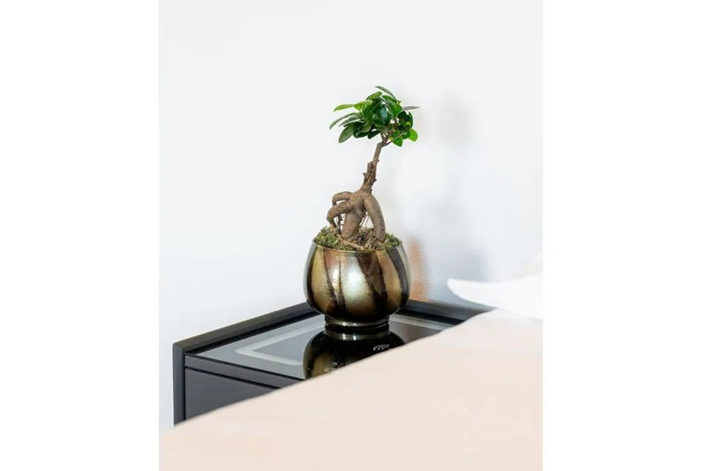 Decorative detail in Bes Residence Bergamo Polaresco