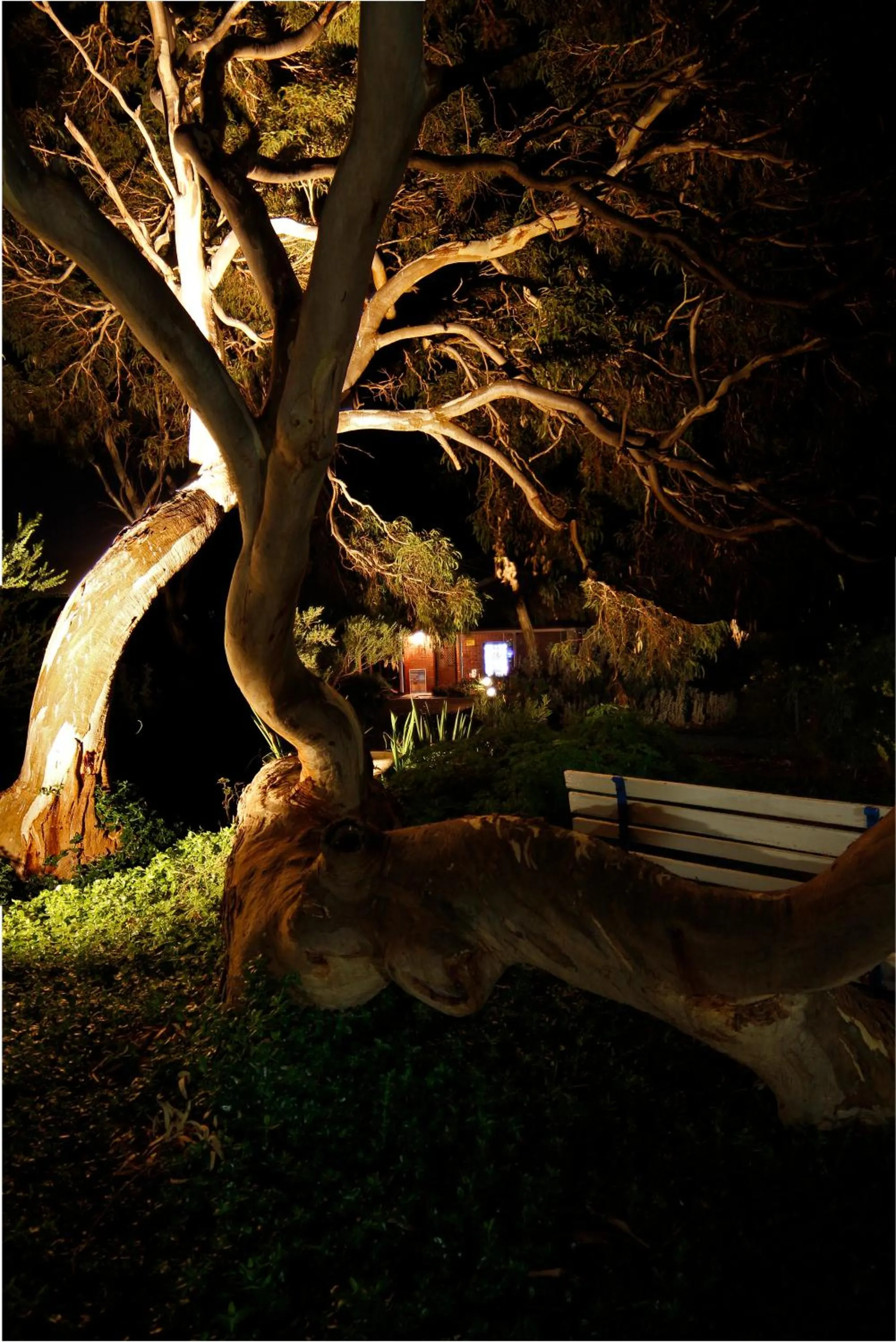 Night in Cape Jervis Holiday Units