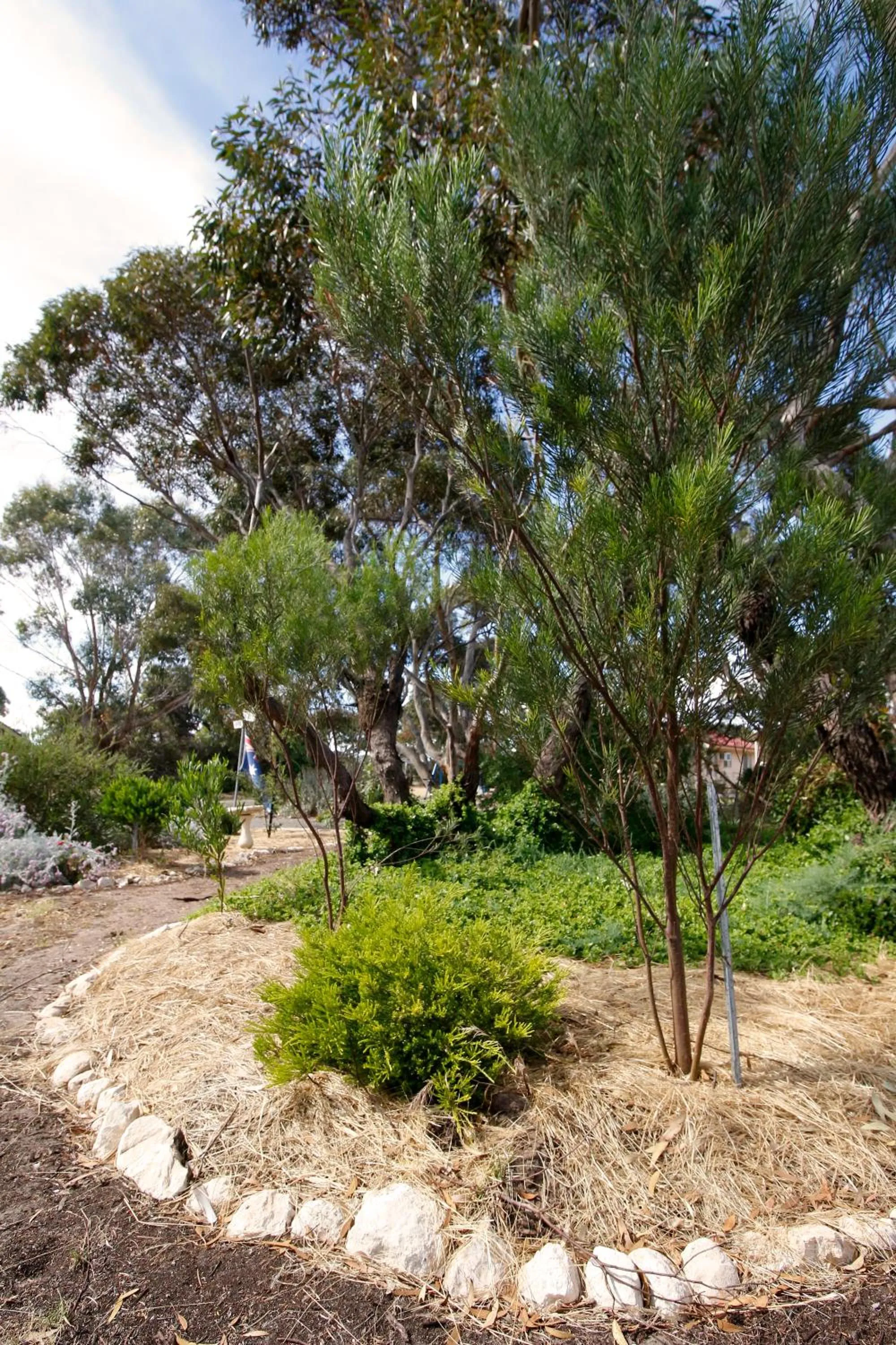 Garden in Cape Jervis Holiday Units