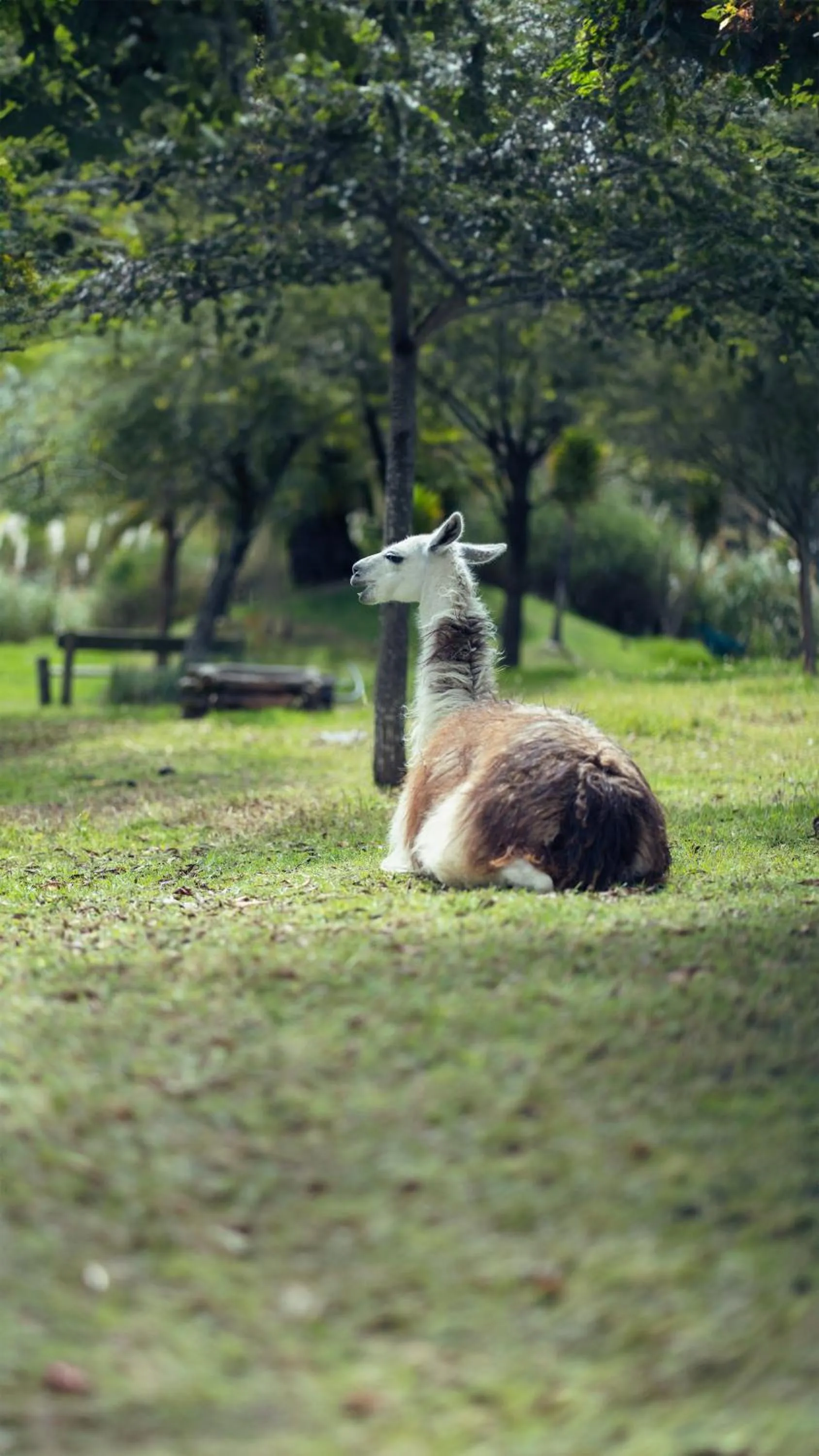 Day in Hacienda Hostería San Luis