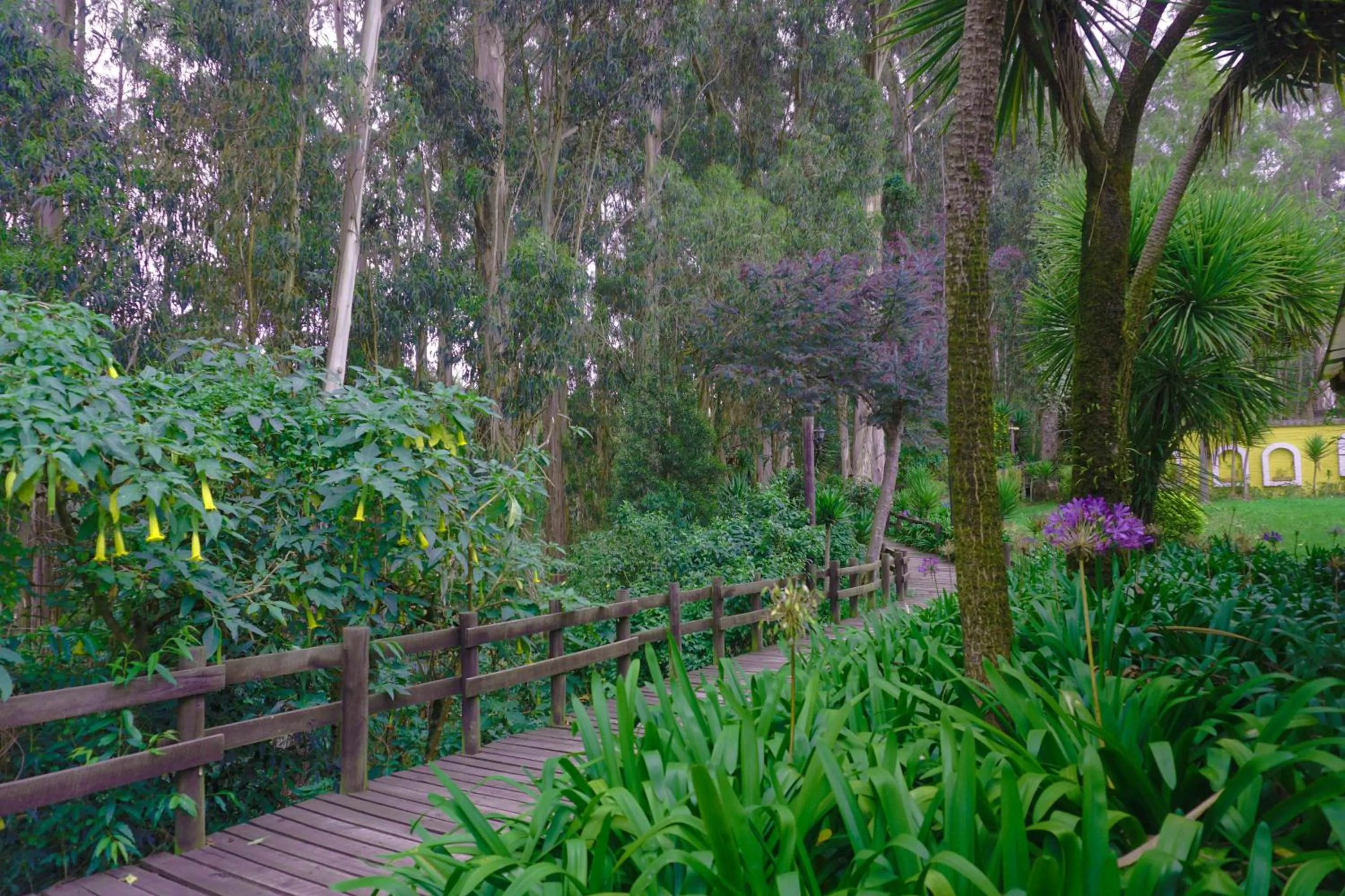 Day in Hacienda Hostería San Luis