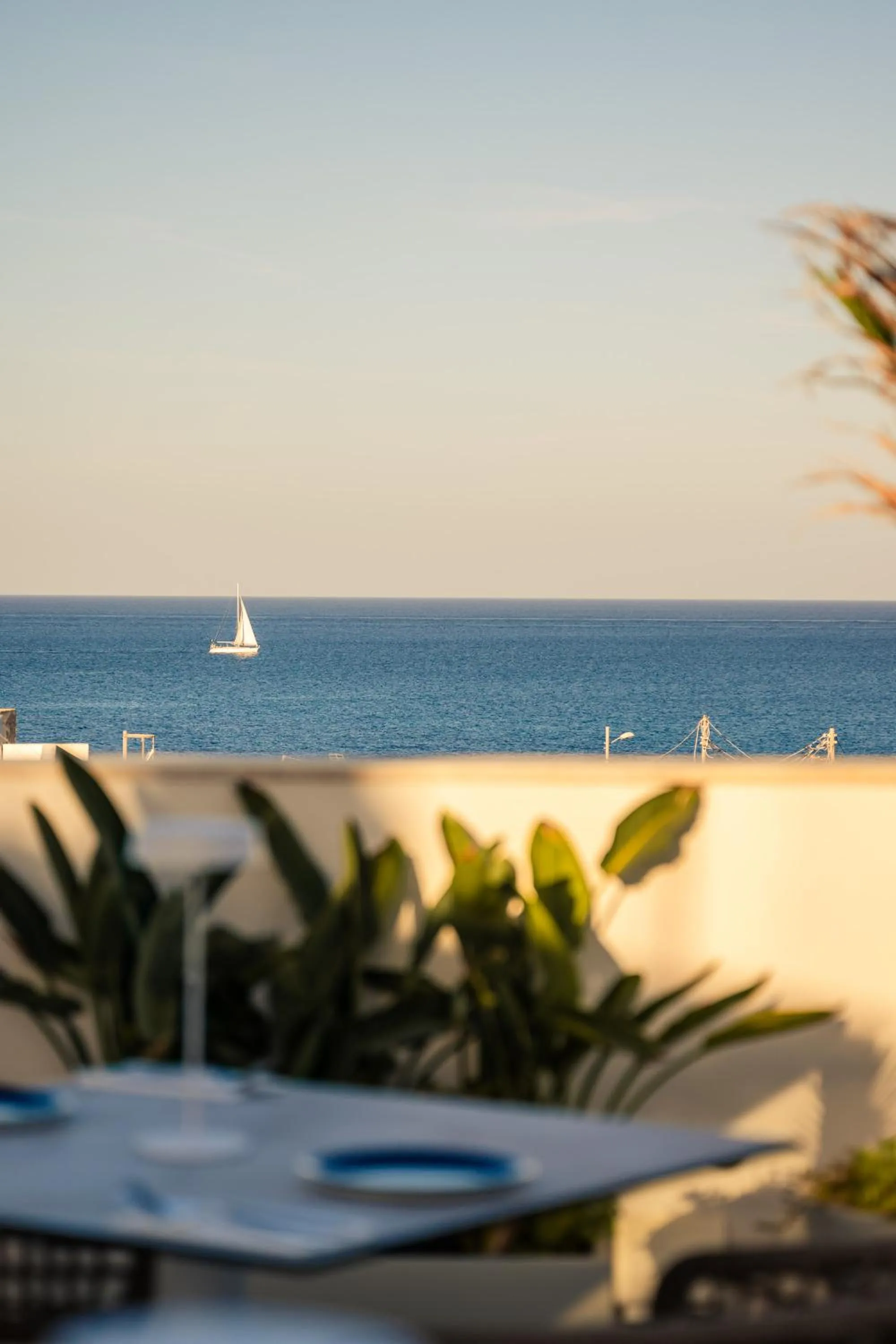 Restaurant/places to eat in XVI Suites - Adults Only