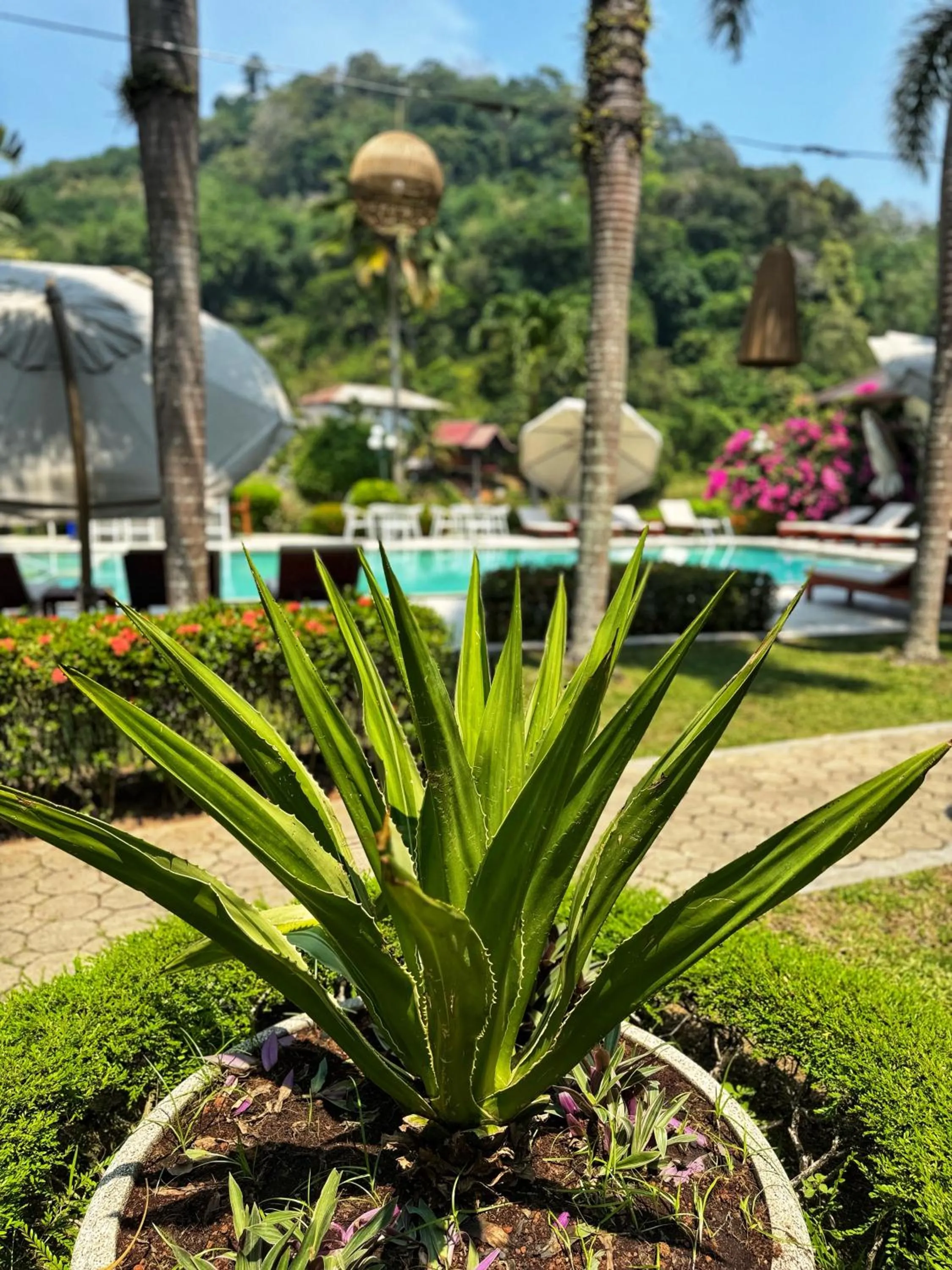 Garden view in Serenity Lakeside Resort