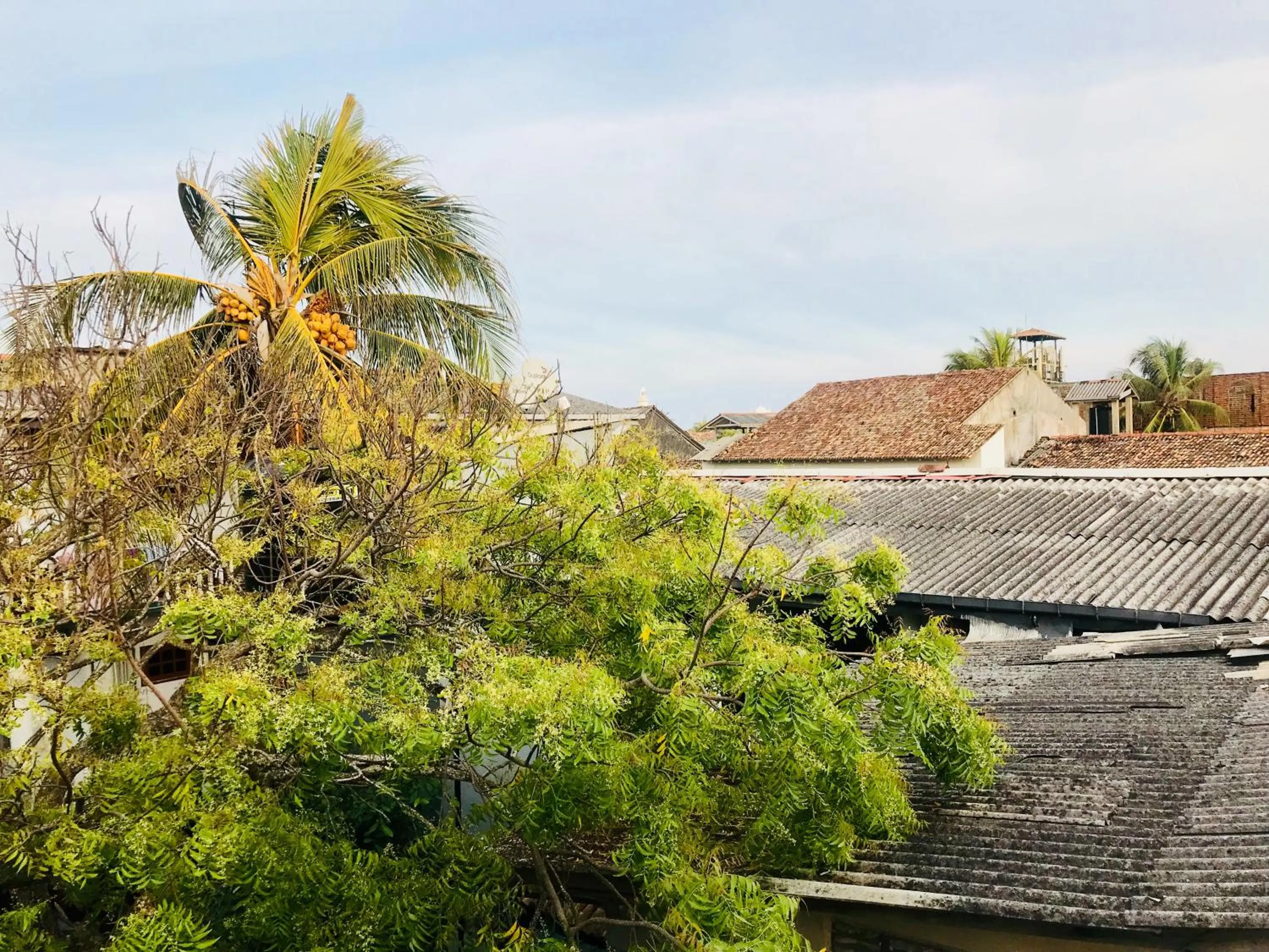 View (from property/room) in Muhsin Villa - Galle Fort
