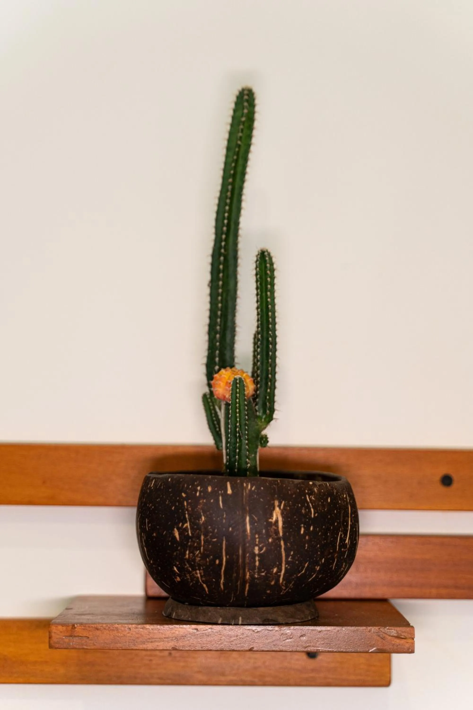 We Are Surfers Hotel