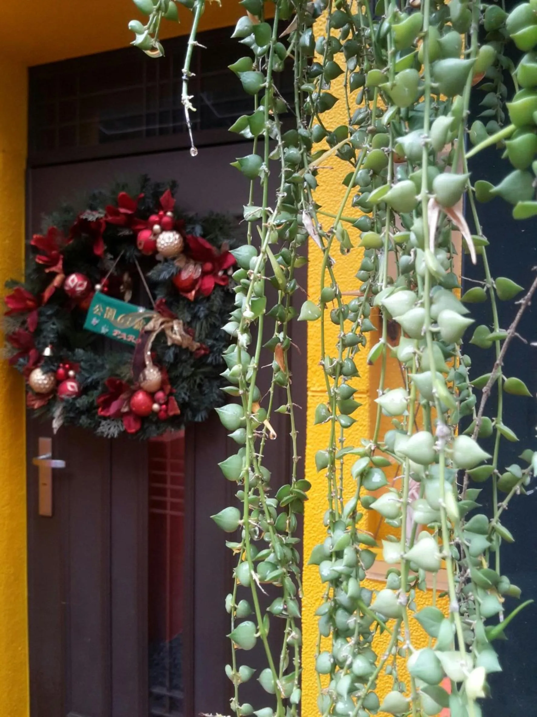 Facade/entrance in Park 61