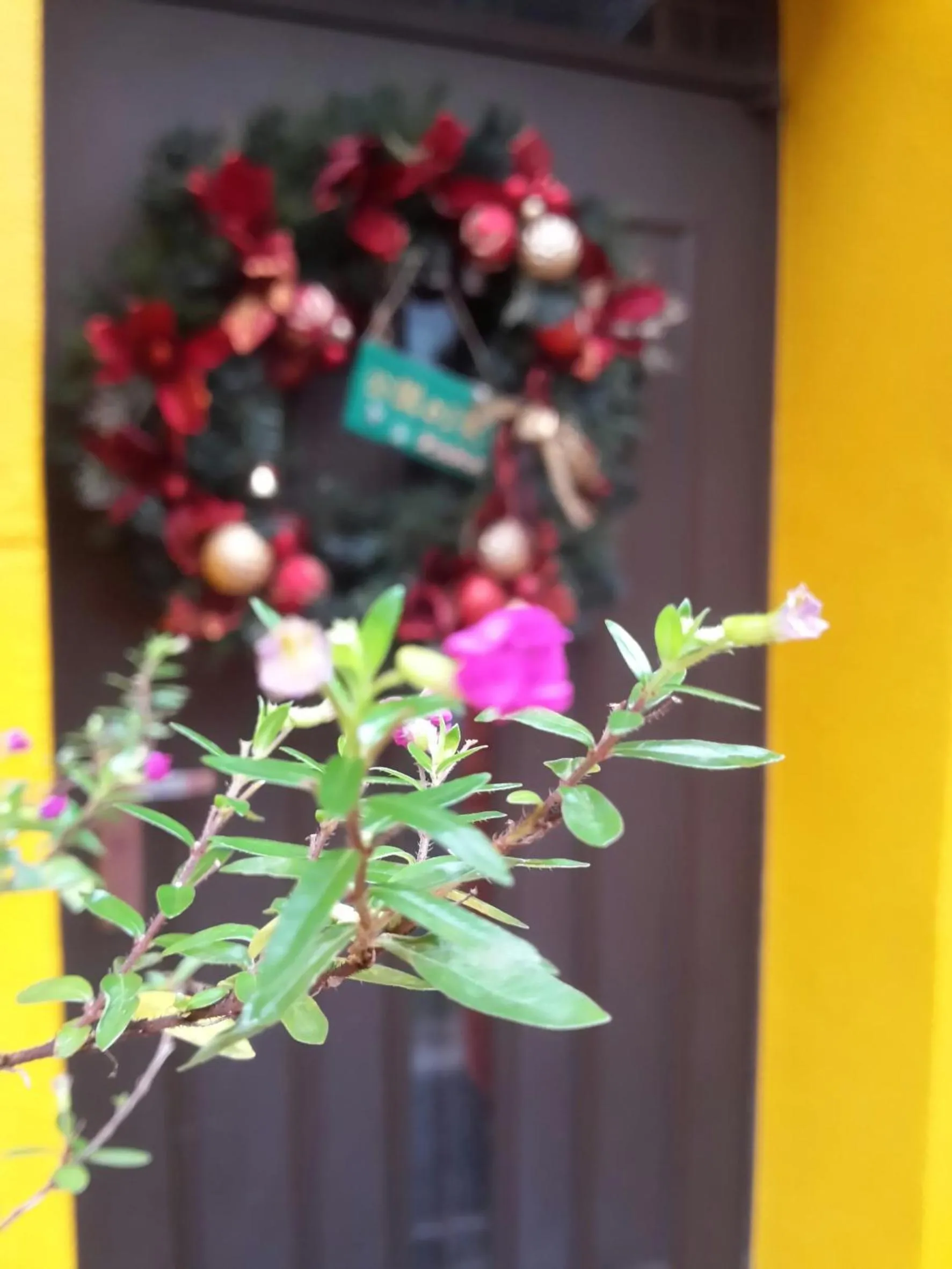 Facade/entrance in Park 61