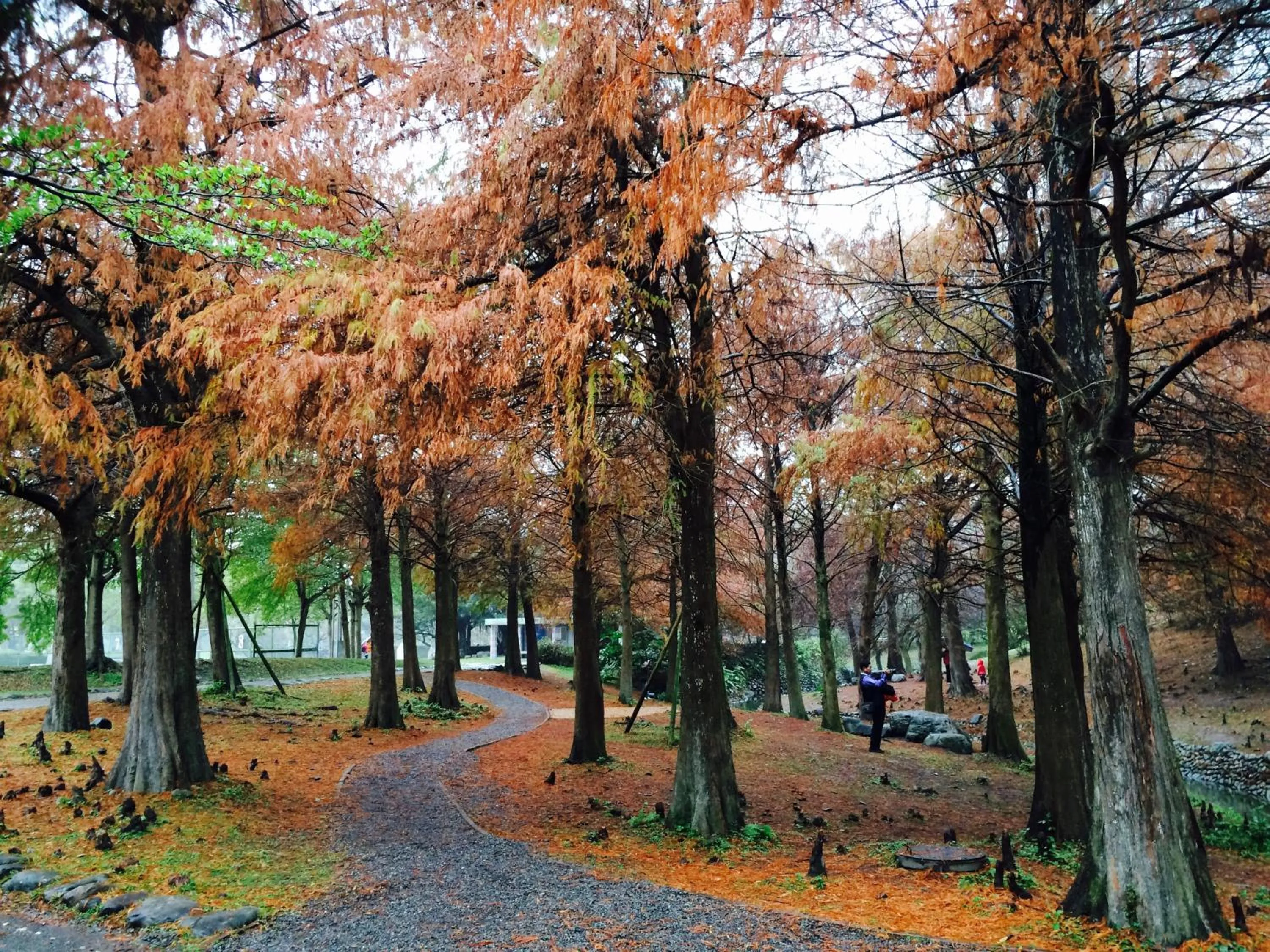 Nearby landmark in Park 61