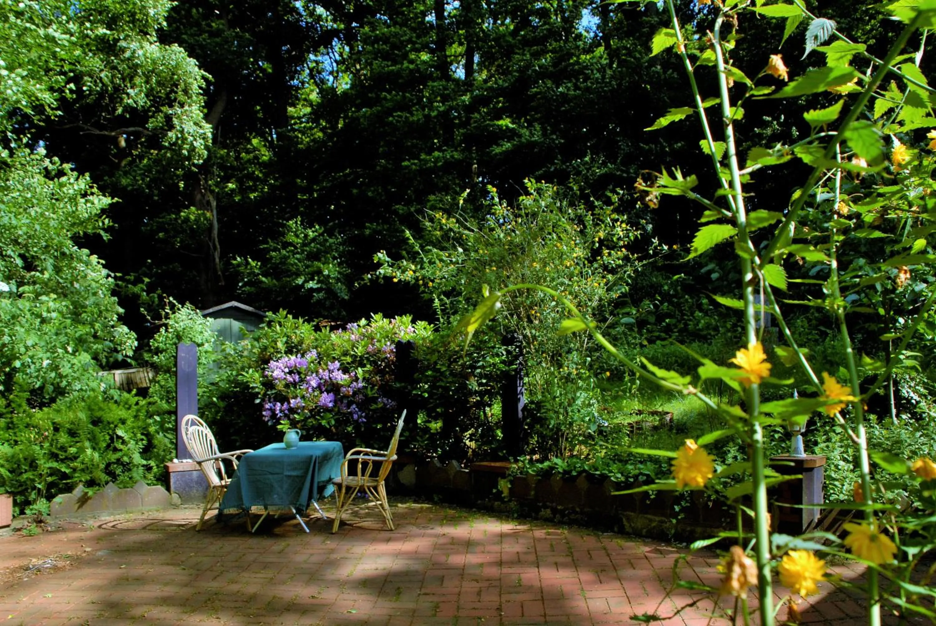 Patio in Willi Ohler Haus