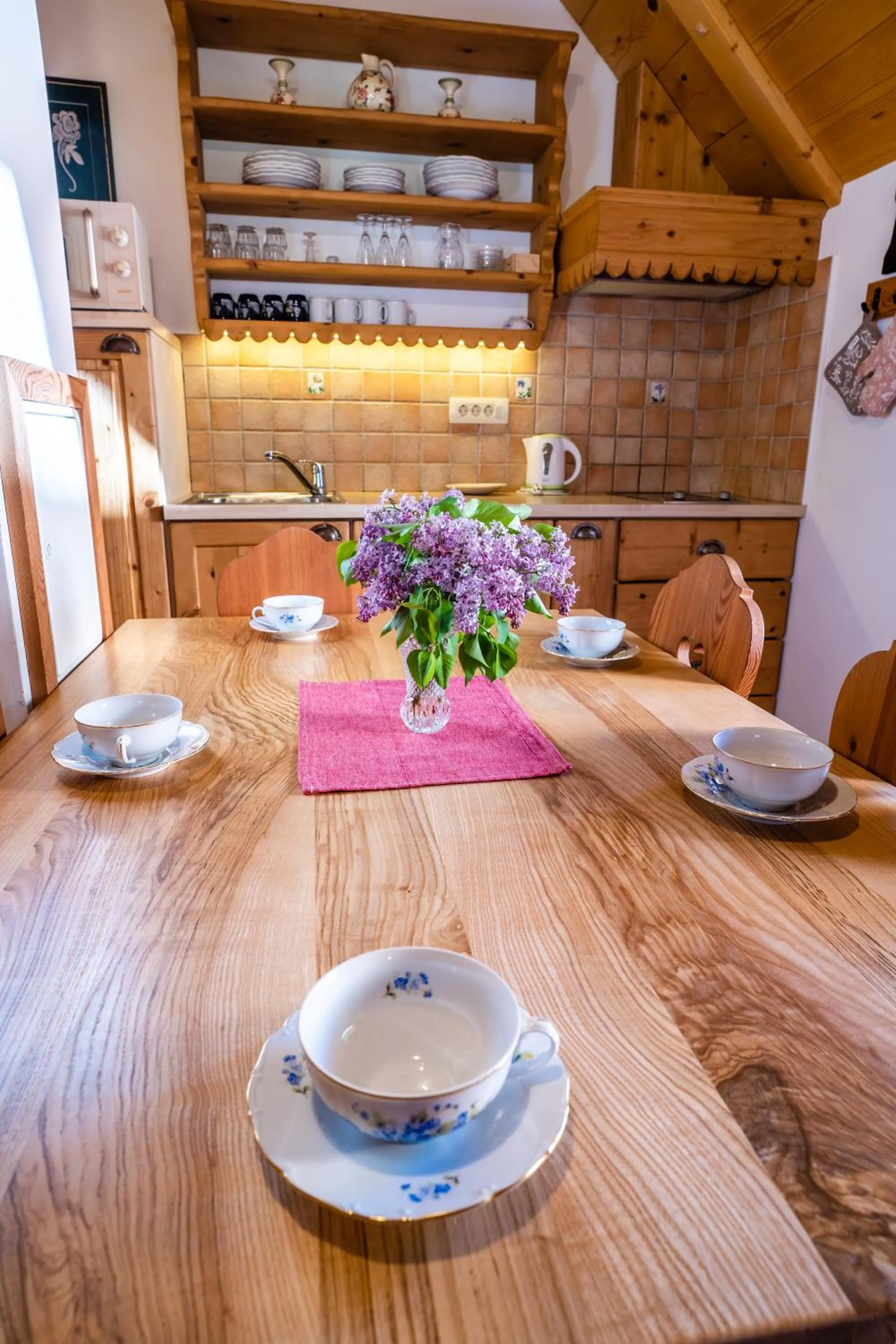 Kitchen or kitchenette in Tourist Farm Šenkova Domačija