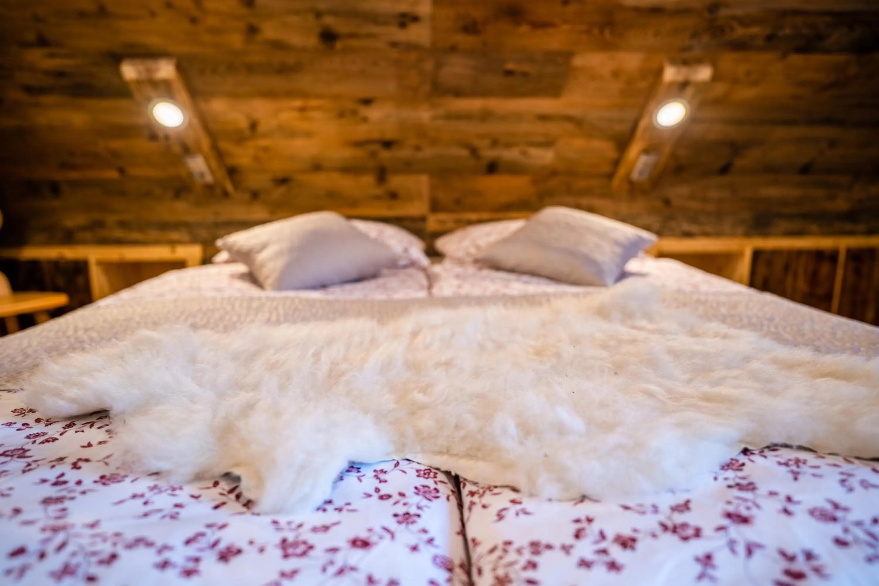 Bed in Tourist Farm Šenkova Domačija