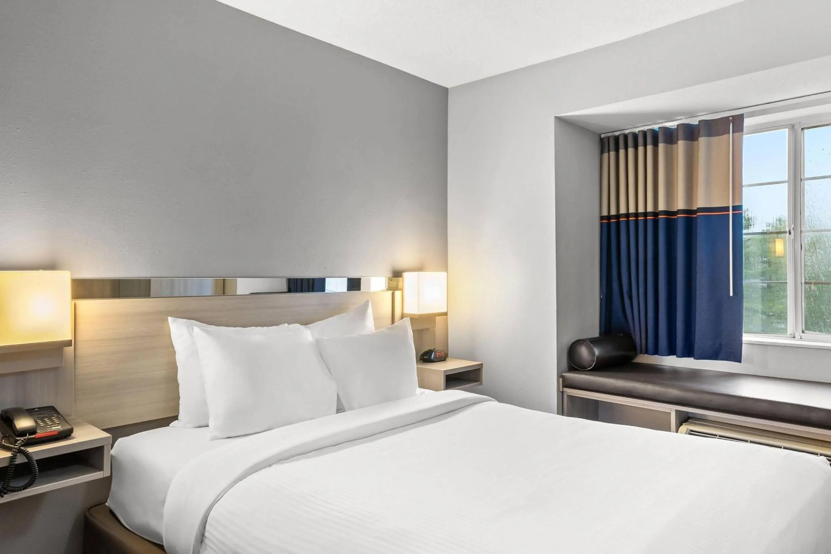 Bedroom, Bed in Quality Inn & Suites Nashville - Bellevue