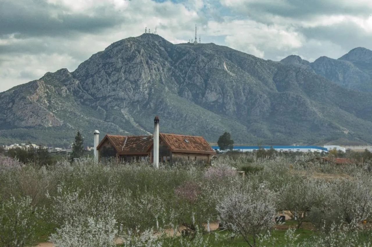 Natural landscape in Dar Zaghouan