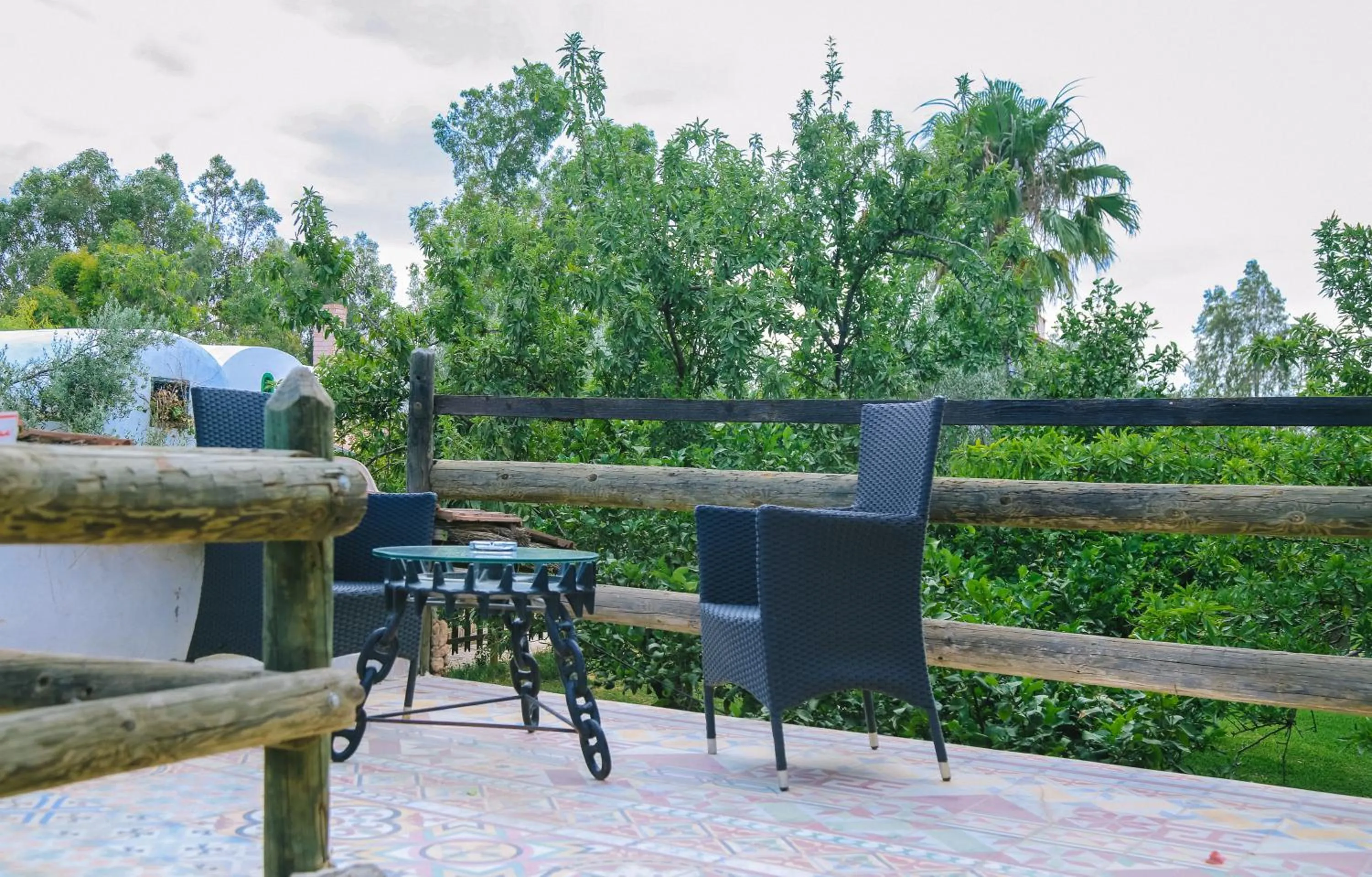 Garden in Dar Zaghouan