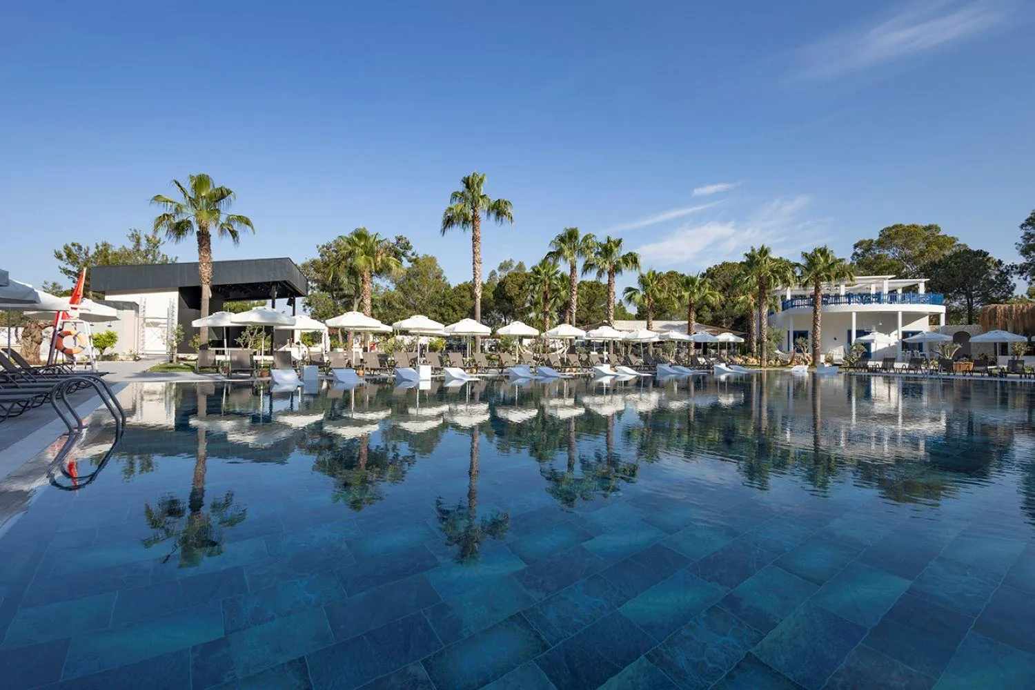 Swimming pool in Berry Blue Hotels