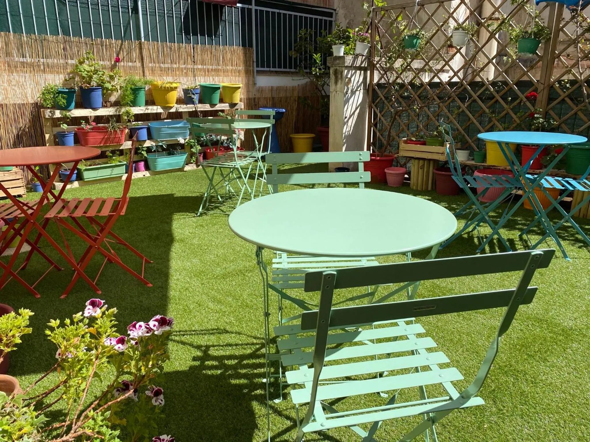 Garden in Olive Tree