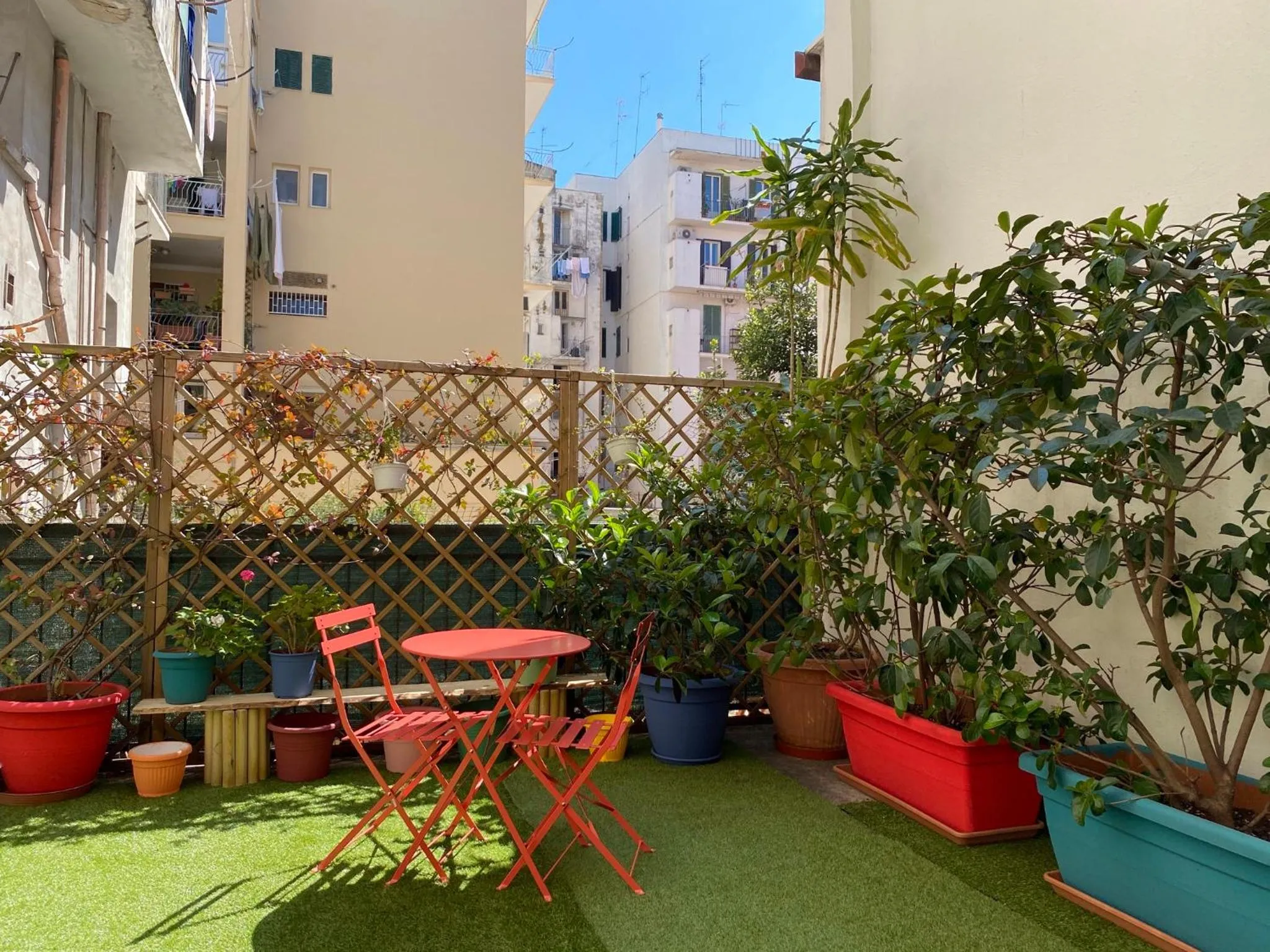 Garden in Olive Tree