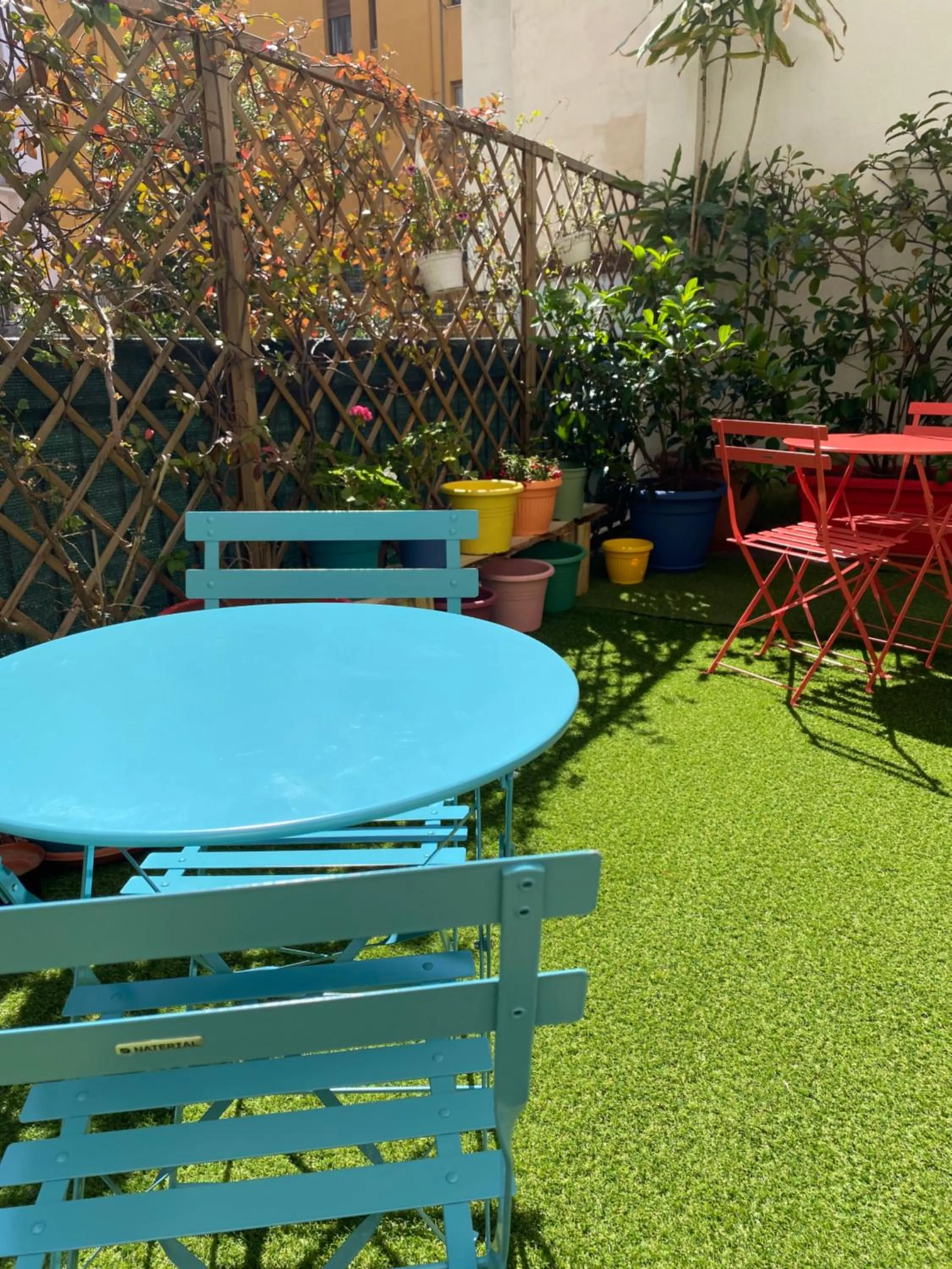 Garden in Olive Tree