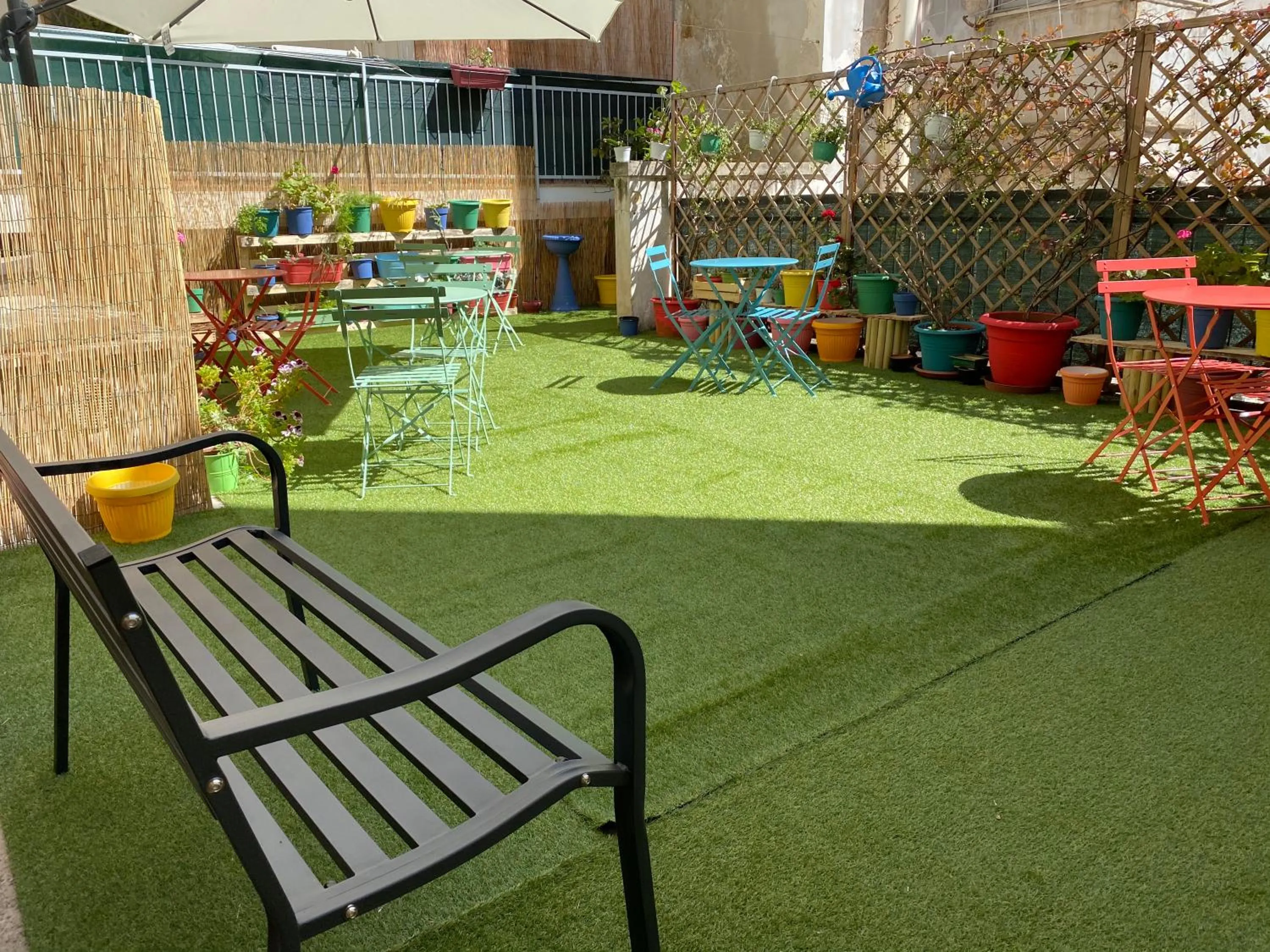 Garden in Olive Tree