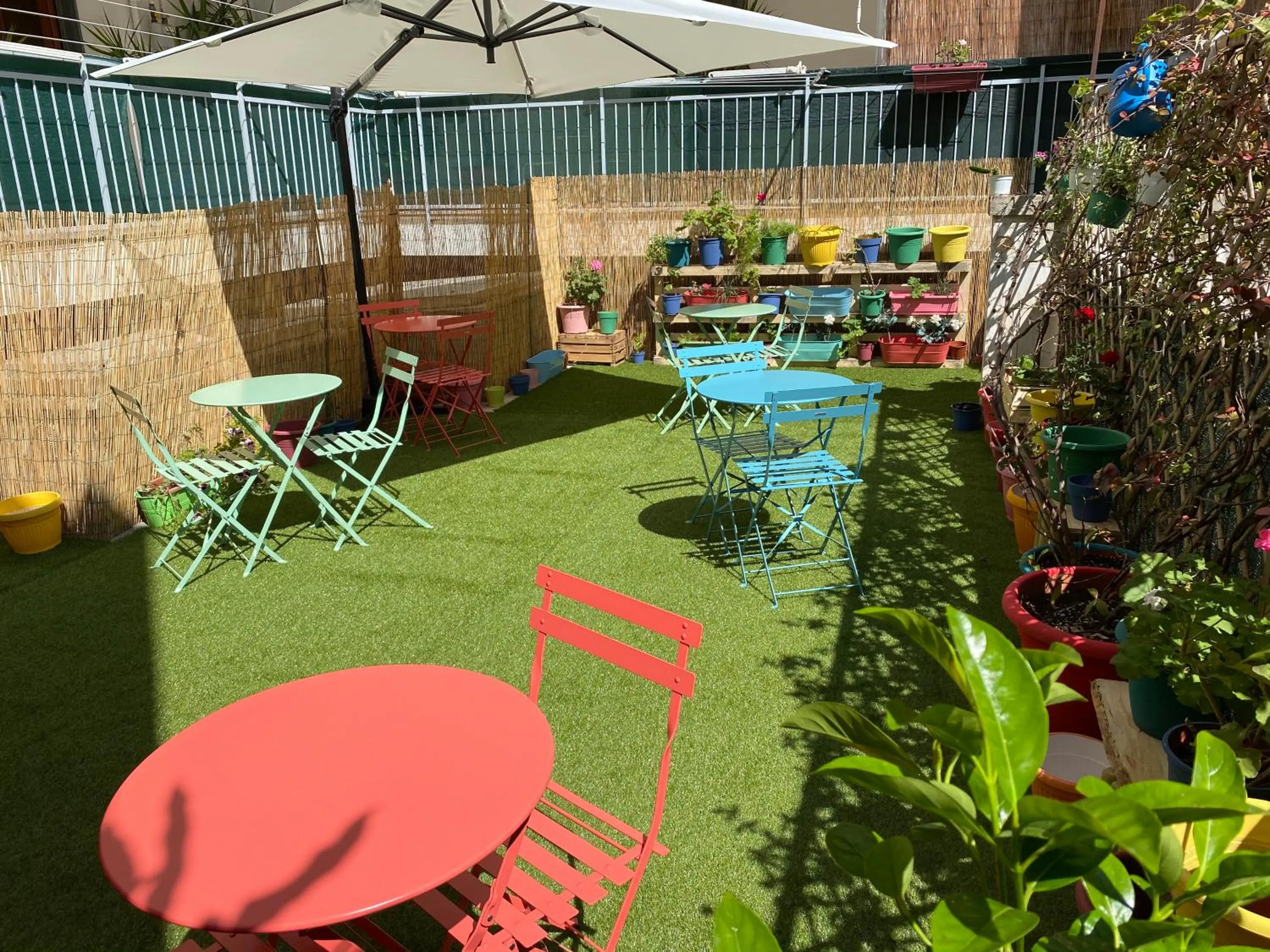 Garden in Olive Tree