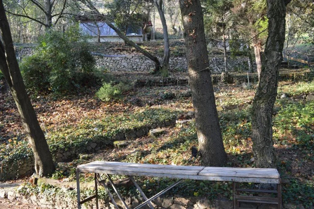 Natural landscape in Casa mARTa : Suites, terrasses et vue panoramique
