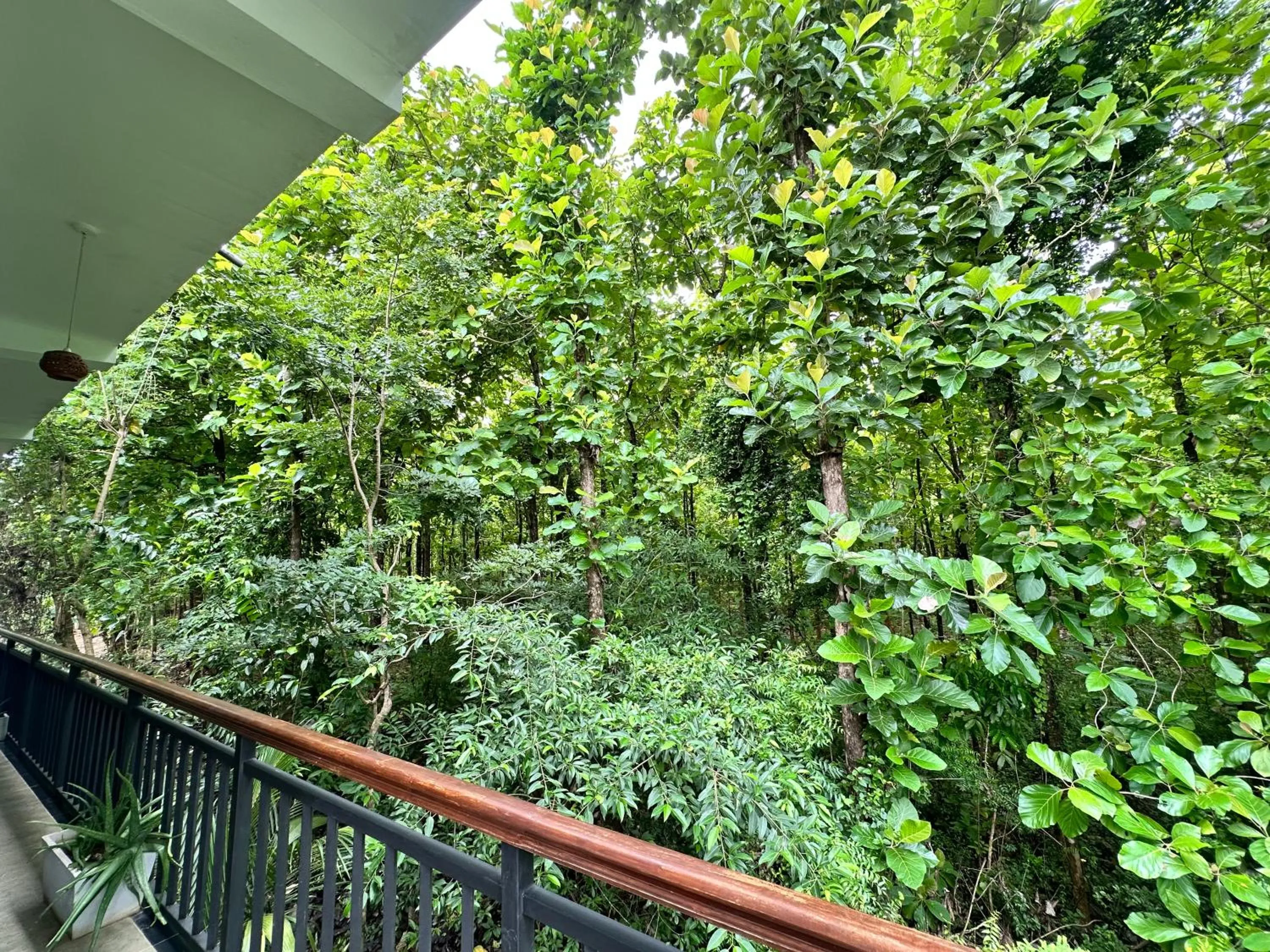 Garden in Nature House