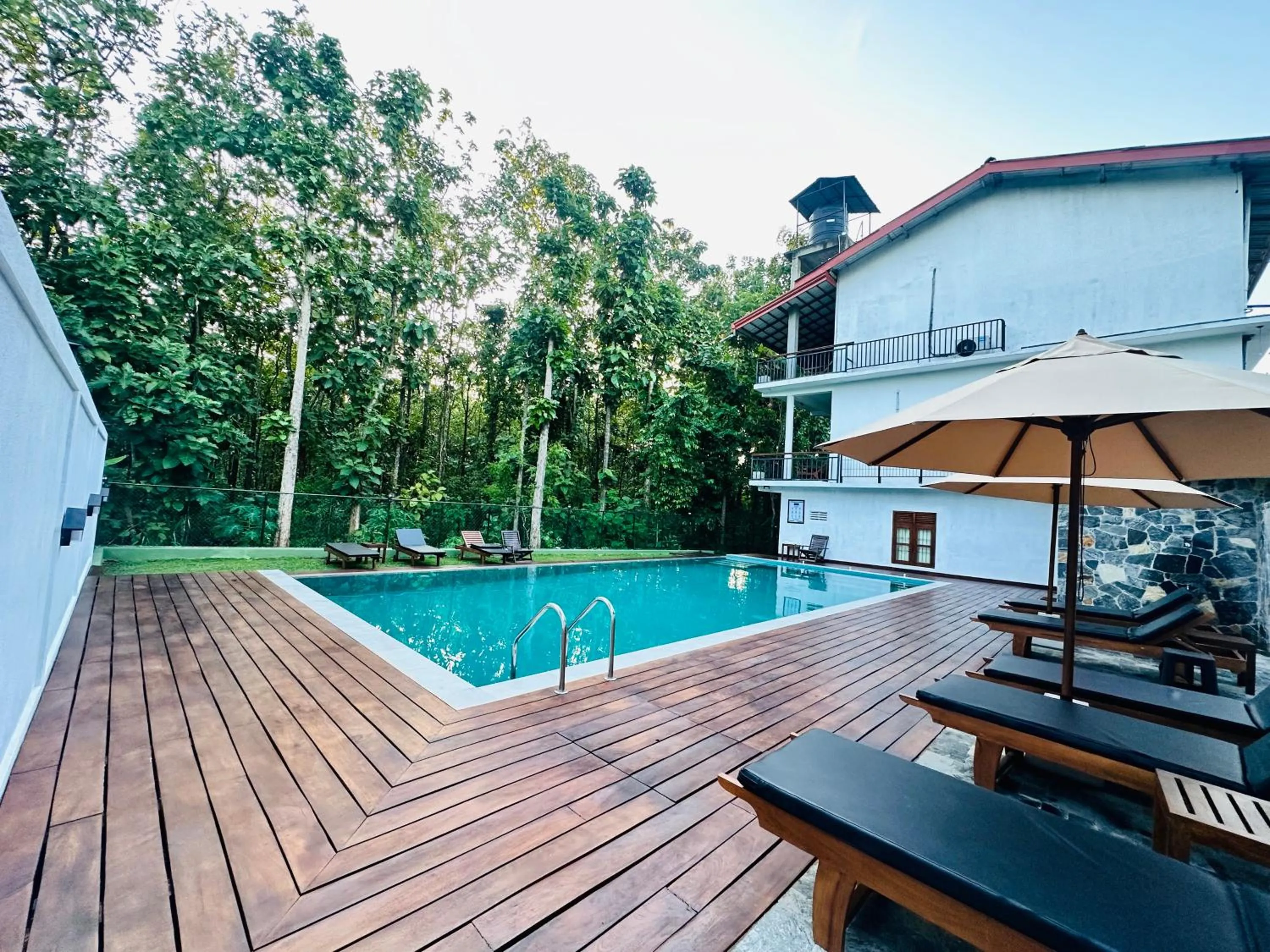 Swimming pool in Nature House