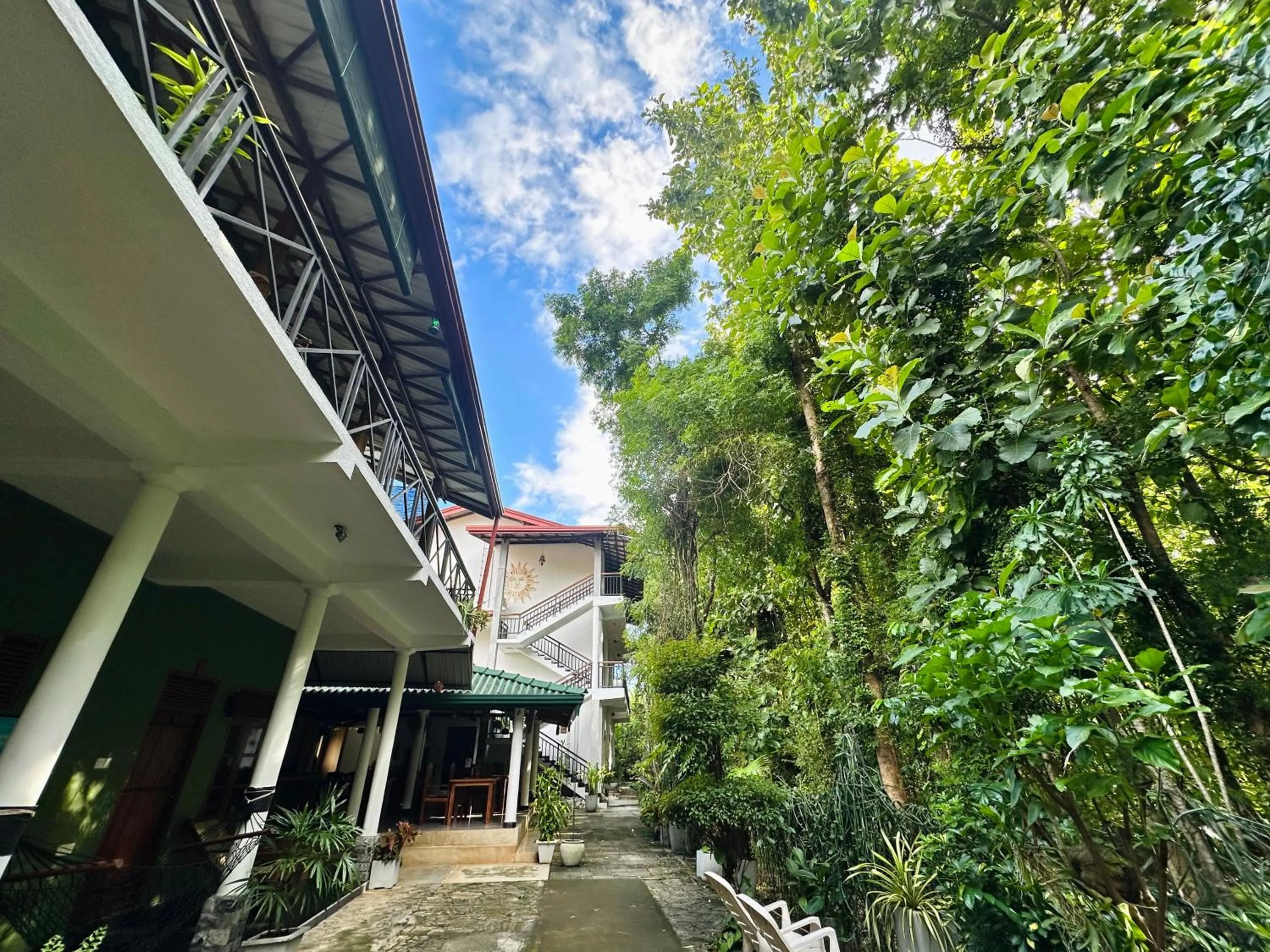 Property building in Nature House