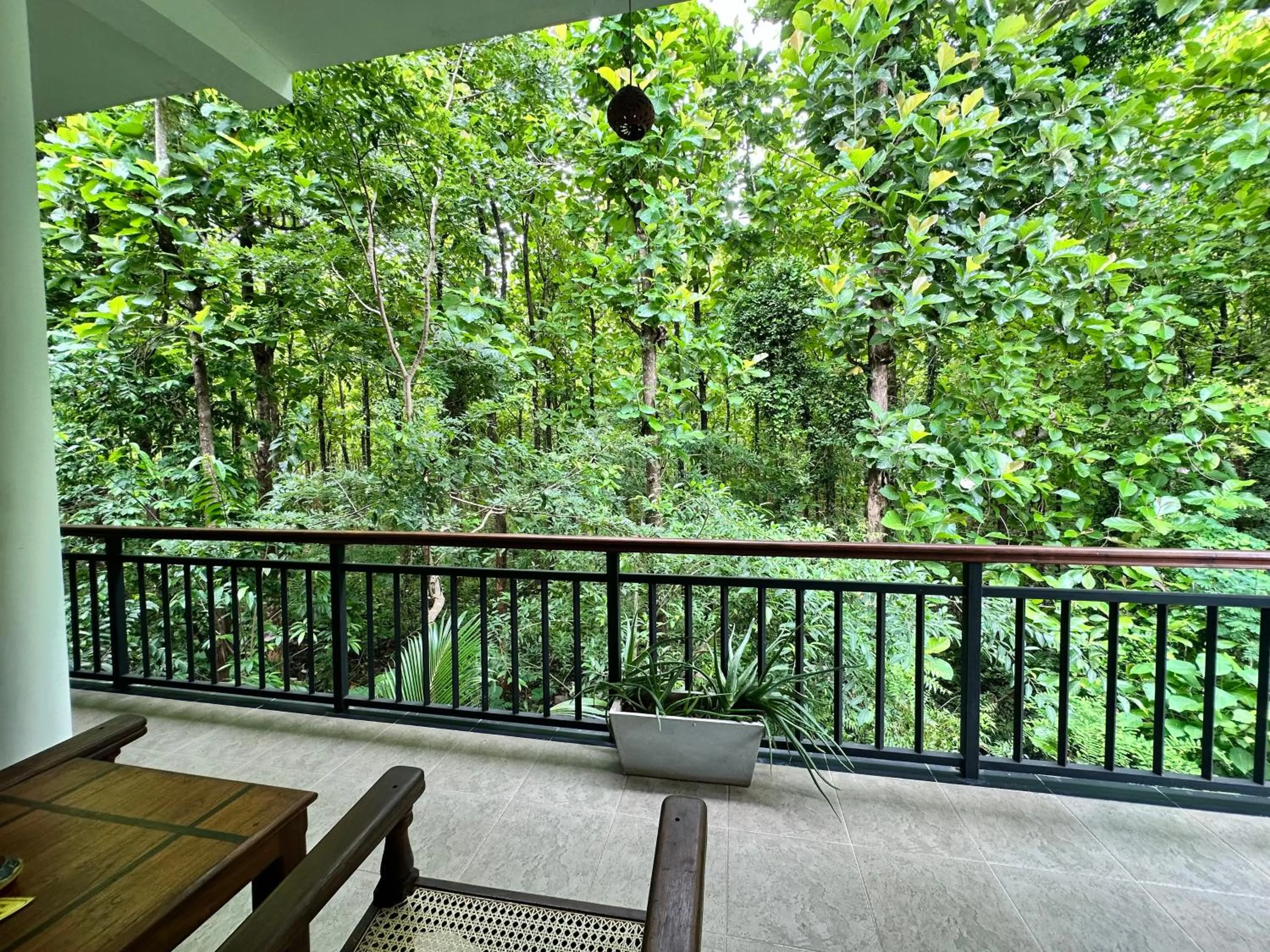 Natural landscape in Nature House