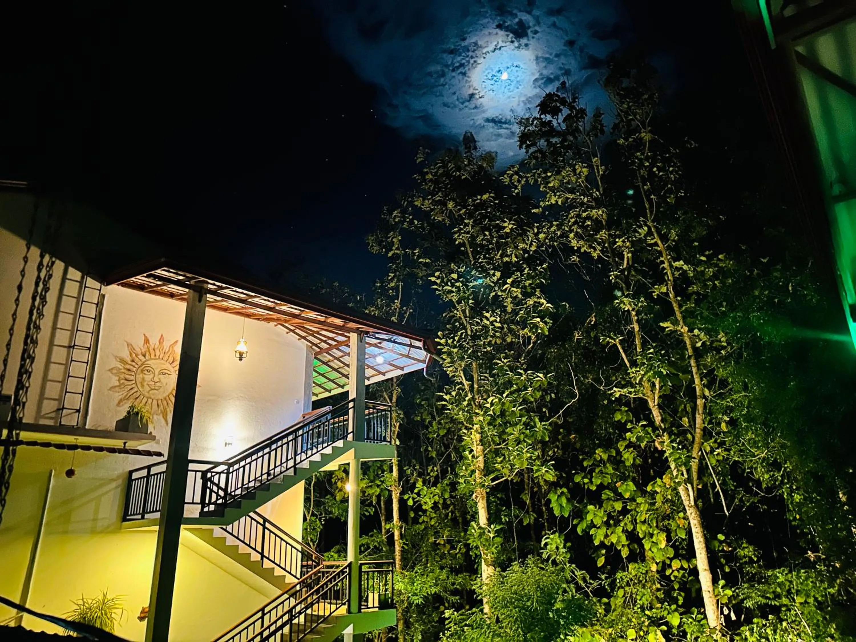 Night in Nature House
