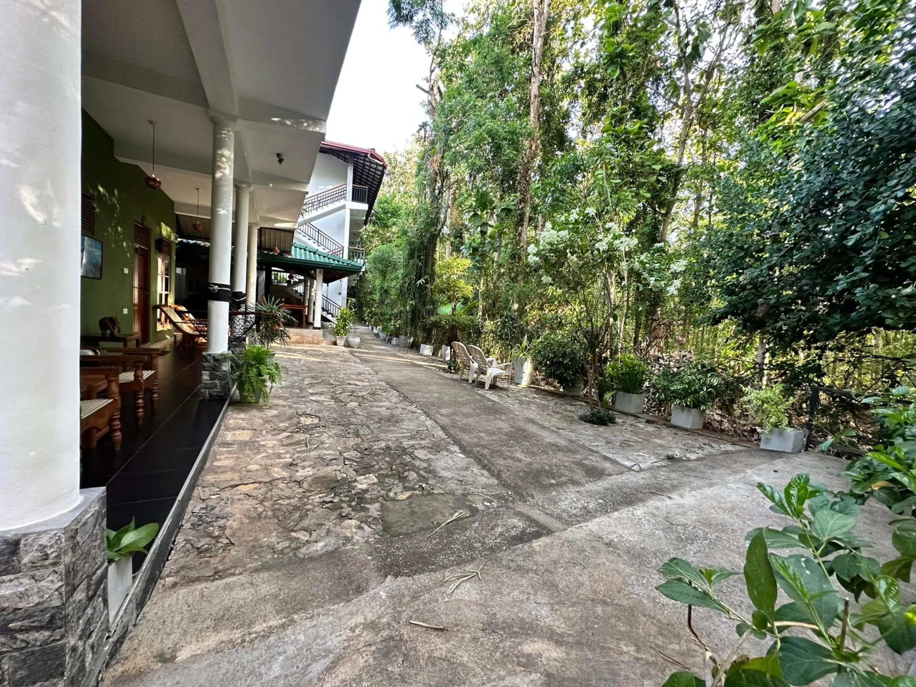 Property building in Nature House