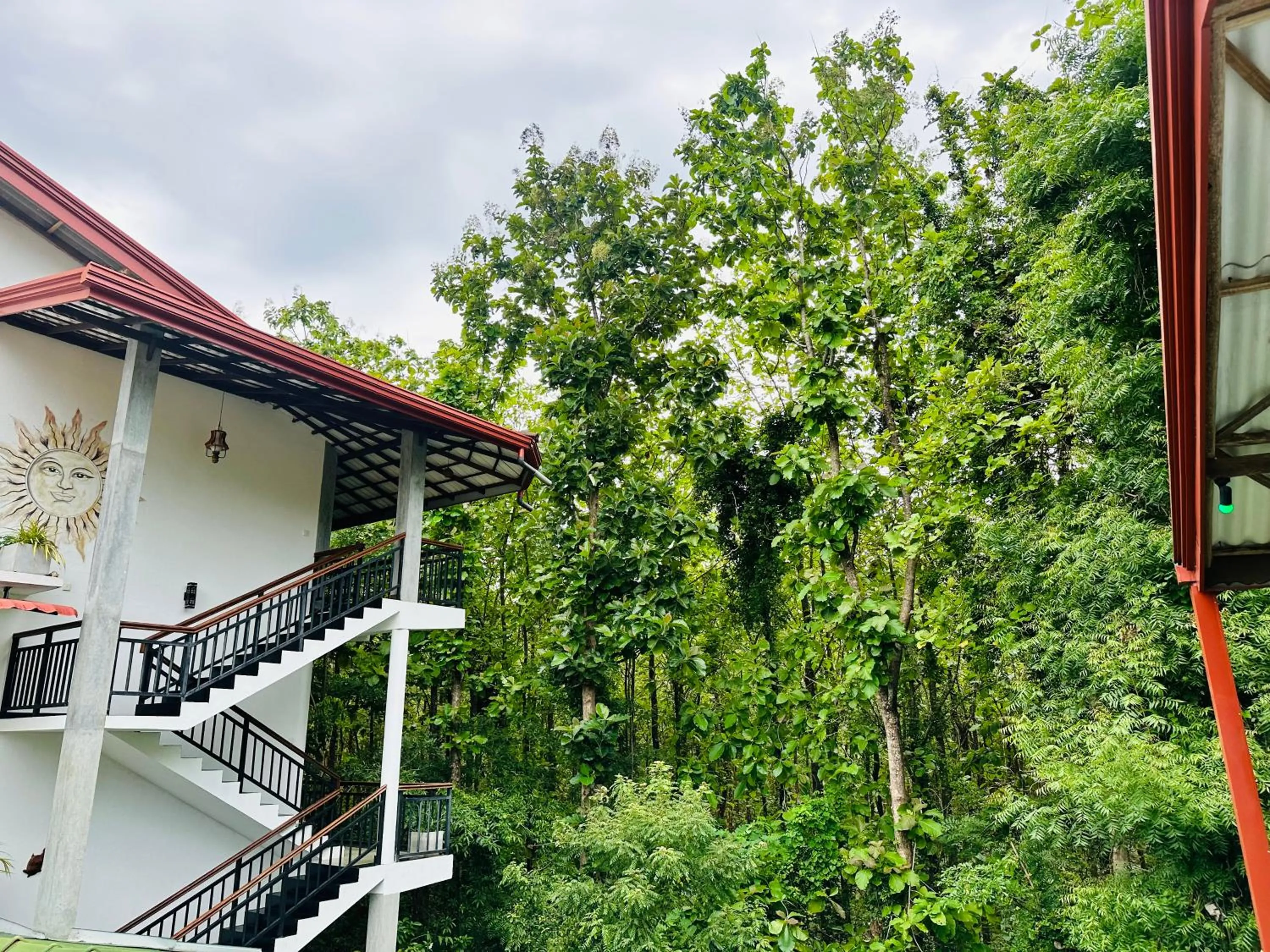 Property building in Nature House